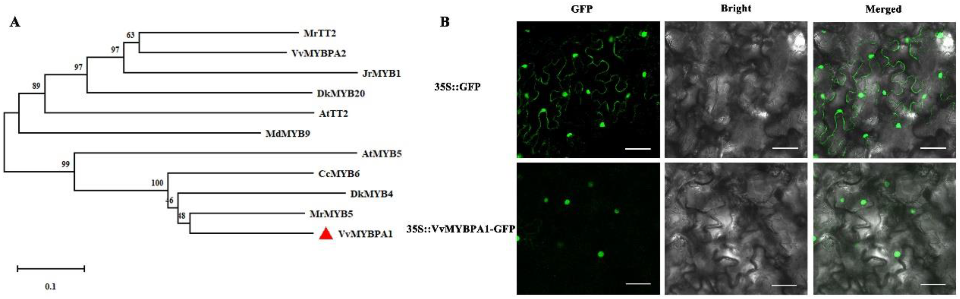 Plants 12 01691 g002