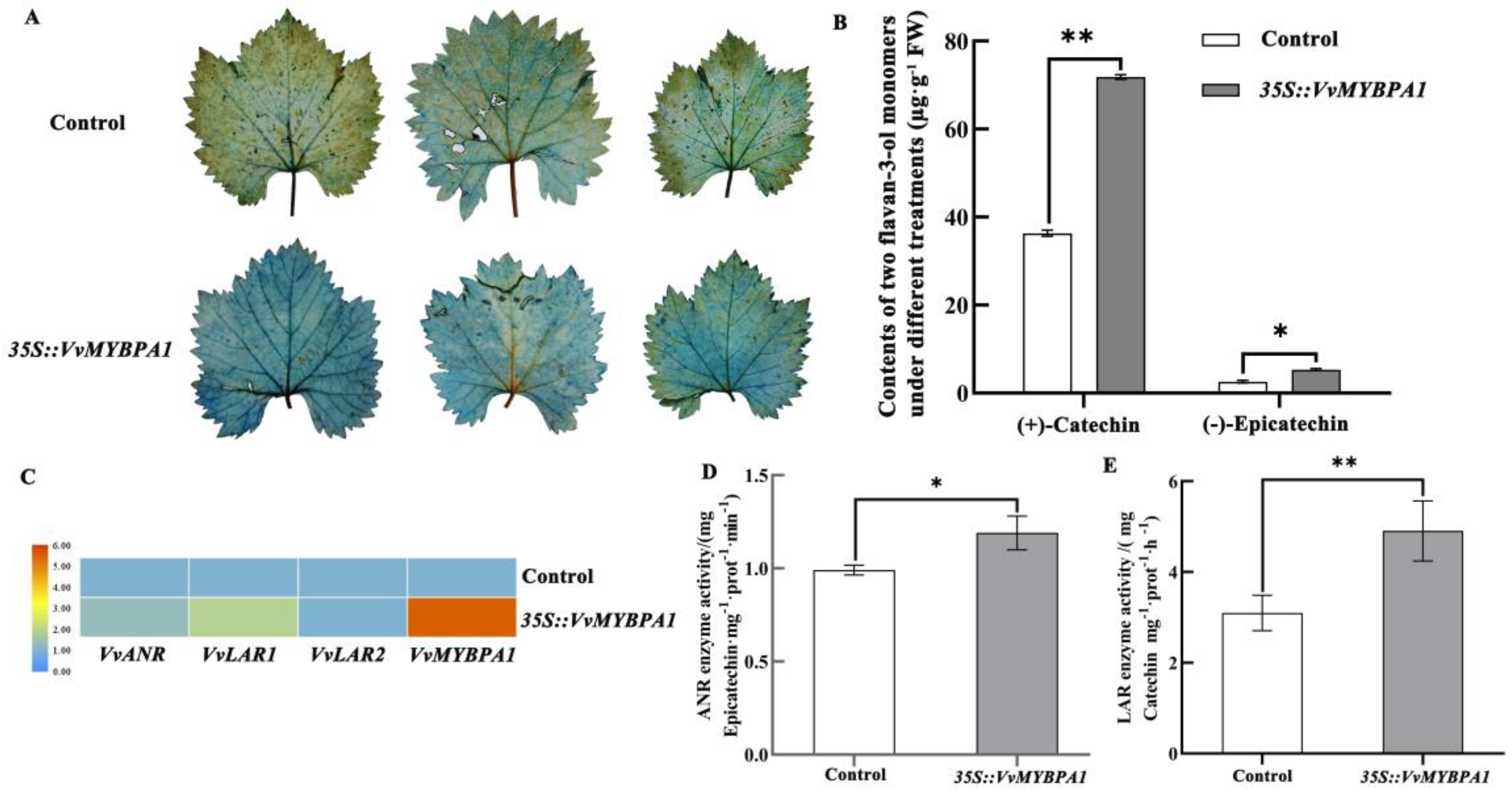 Plants 12 01691 g003