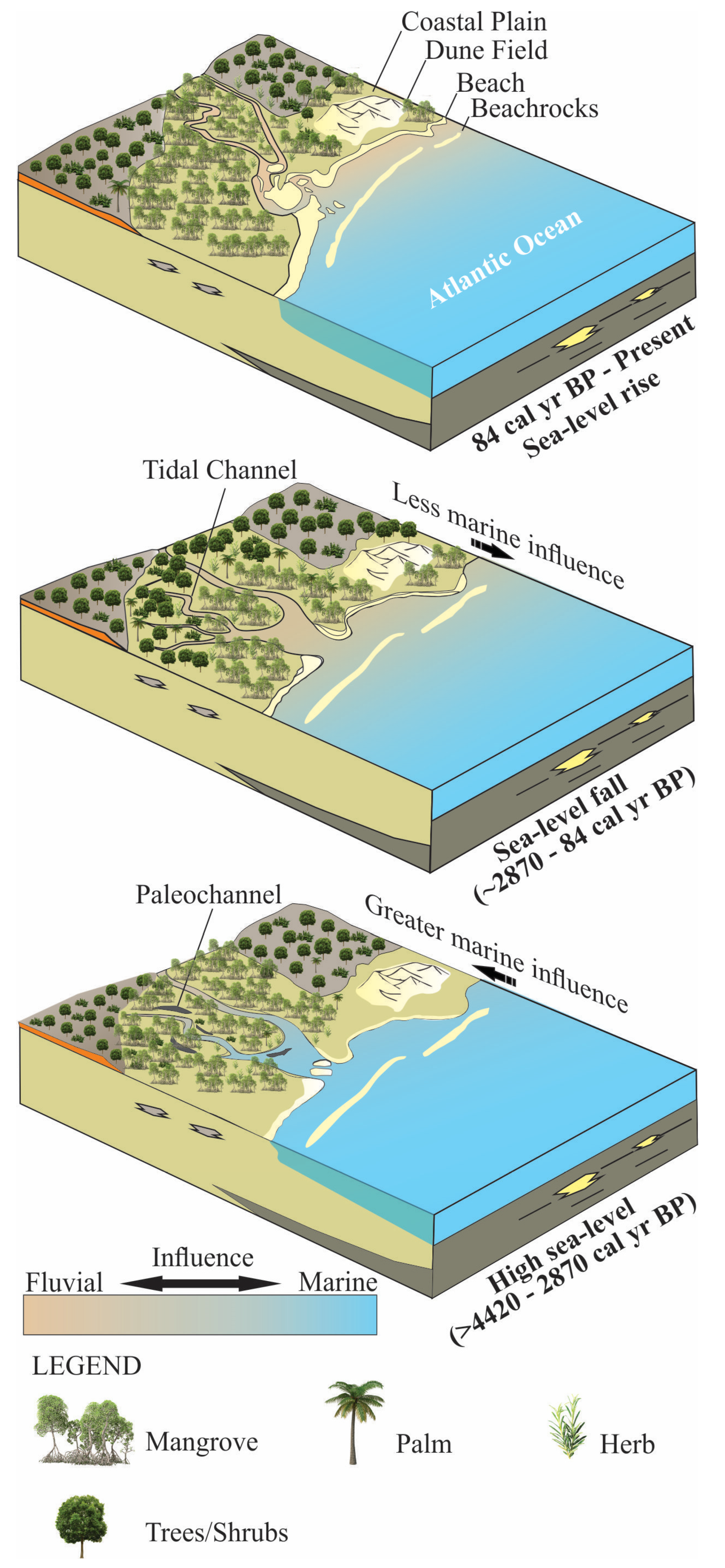 coastal plains diagram