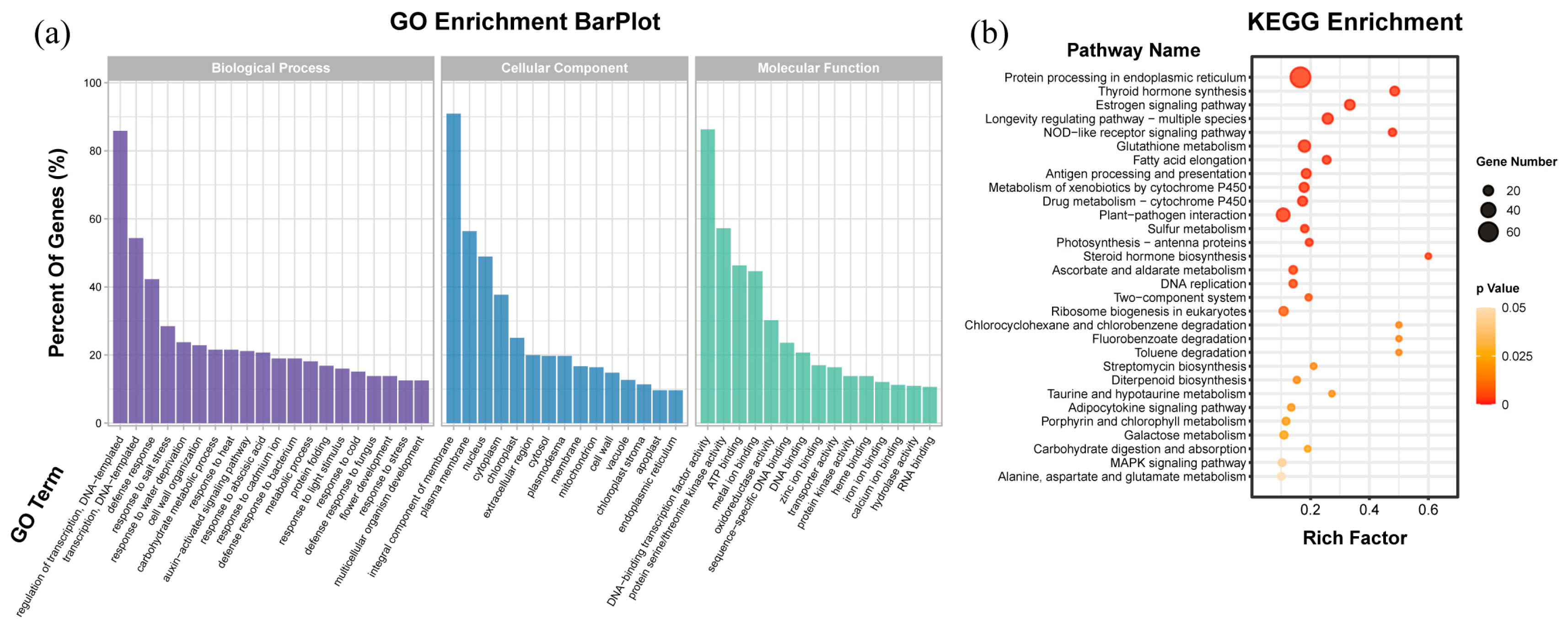 Plants 12 01739 g005 Plants 12 01739 g005