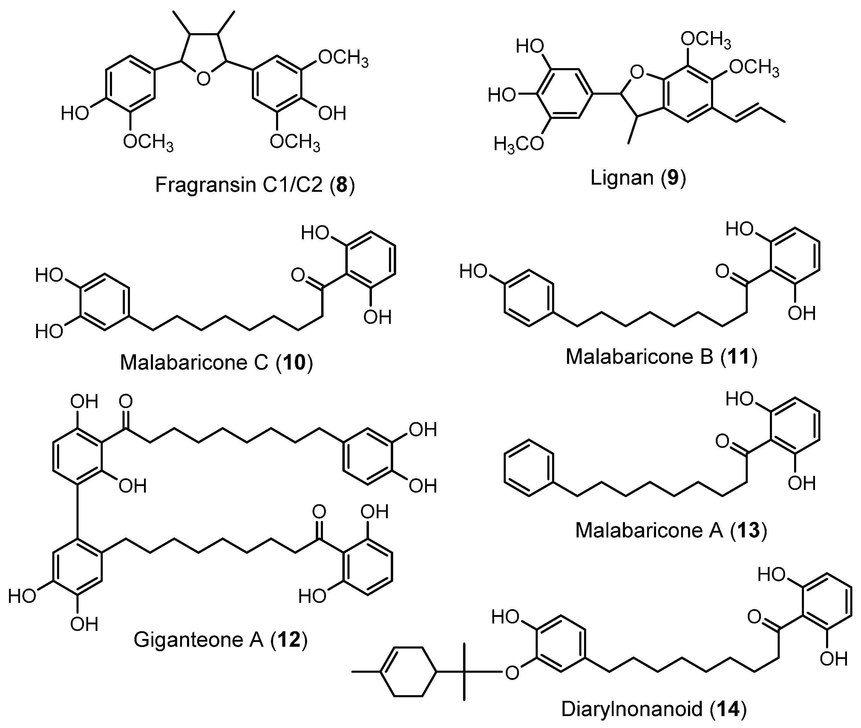 Plants | Free Full-Text | Essential Oils and Sustainability: In Vitro ...