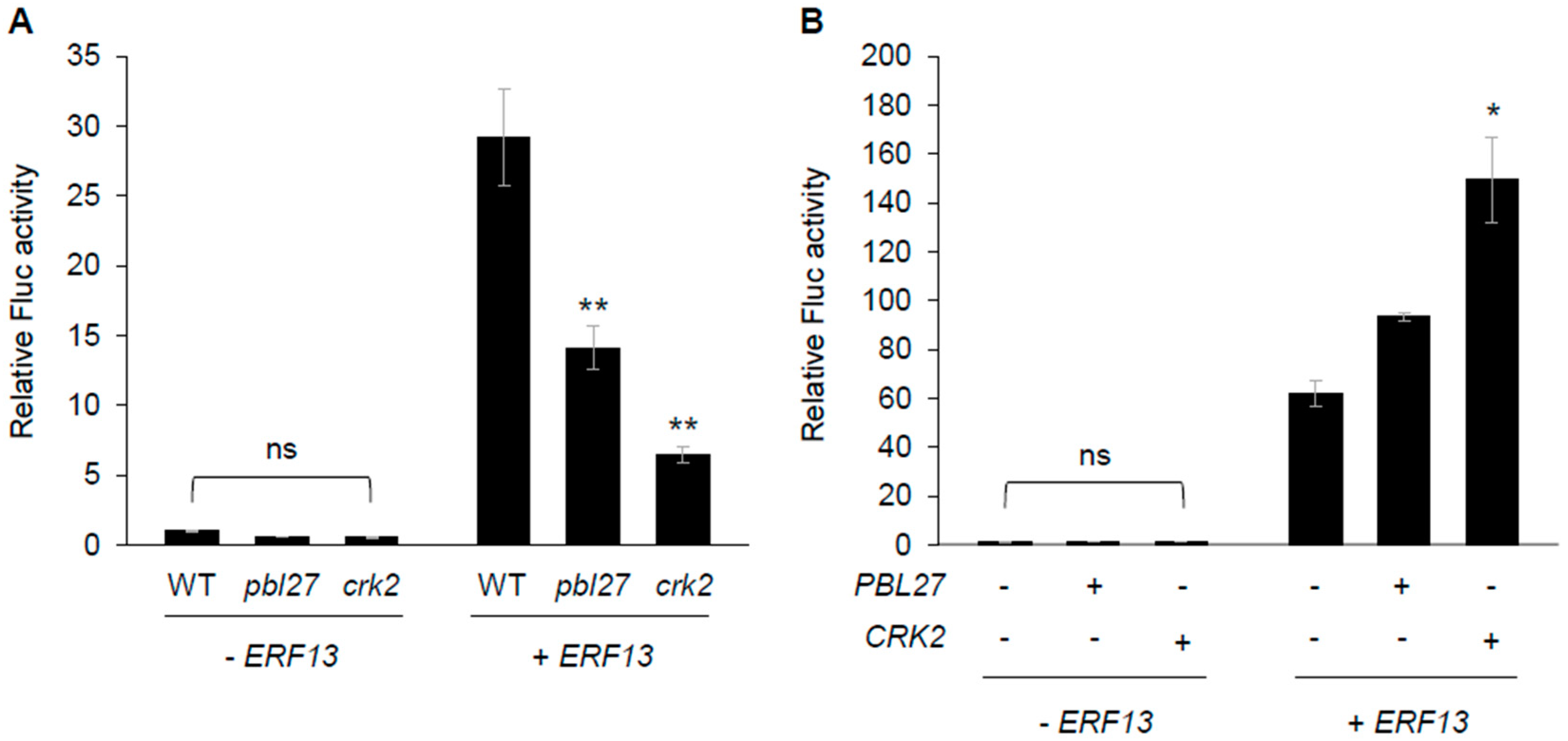 Plants 12 01747 g004 Plants 12 01747 g004