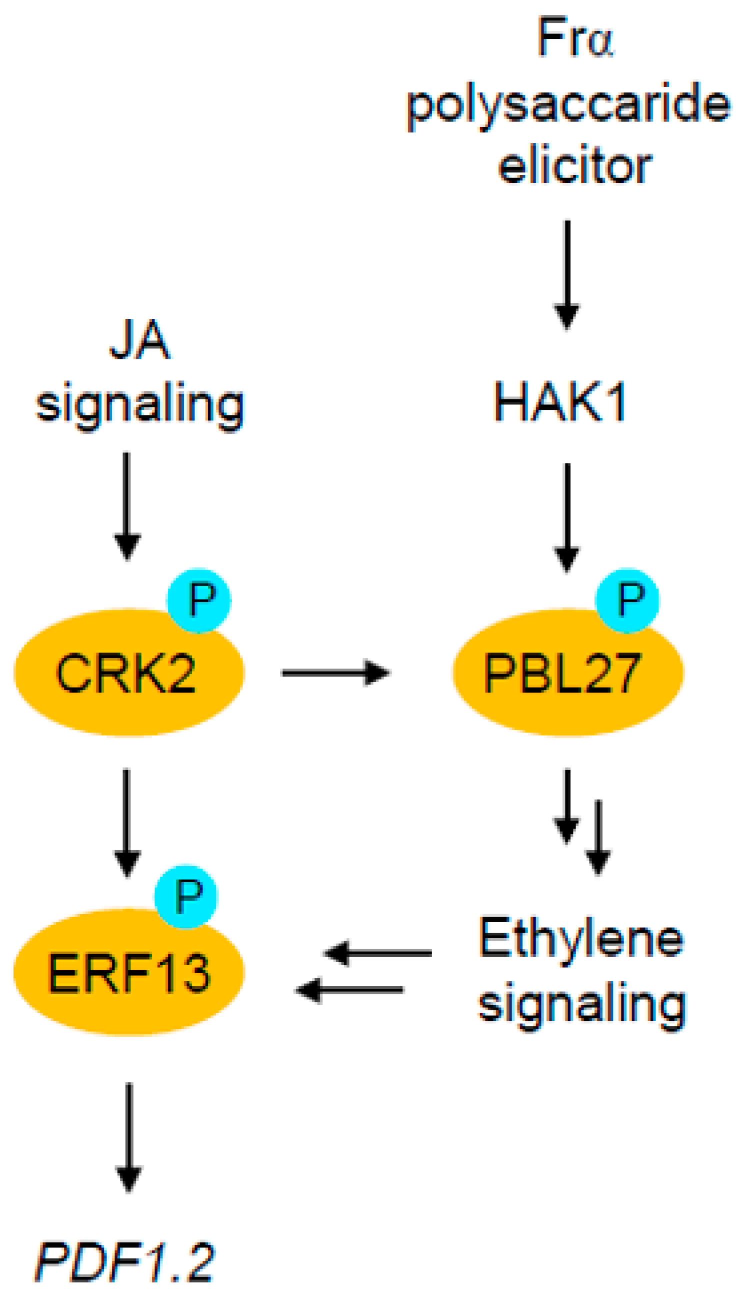 Plants 12 01747 g006 Plants 12 01747 g006