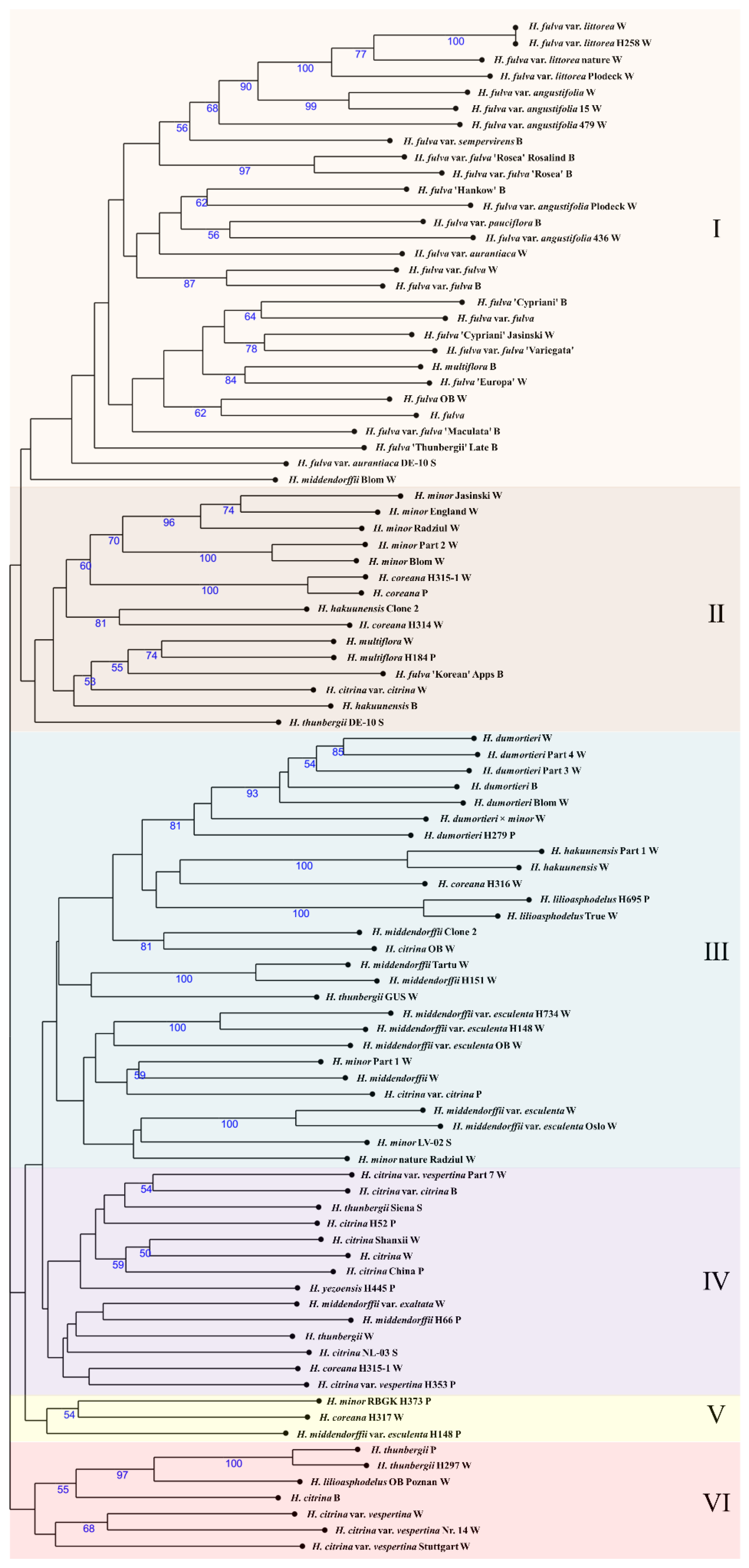 Plants 12 01752 g001