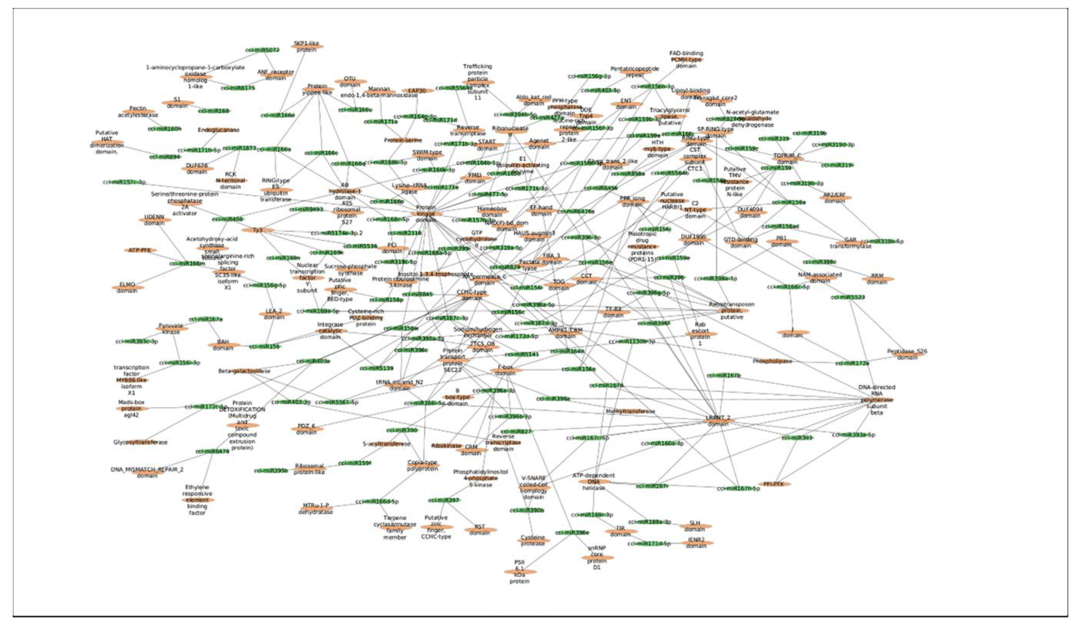 Plants 12 01756 g005