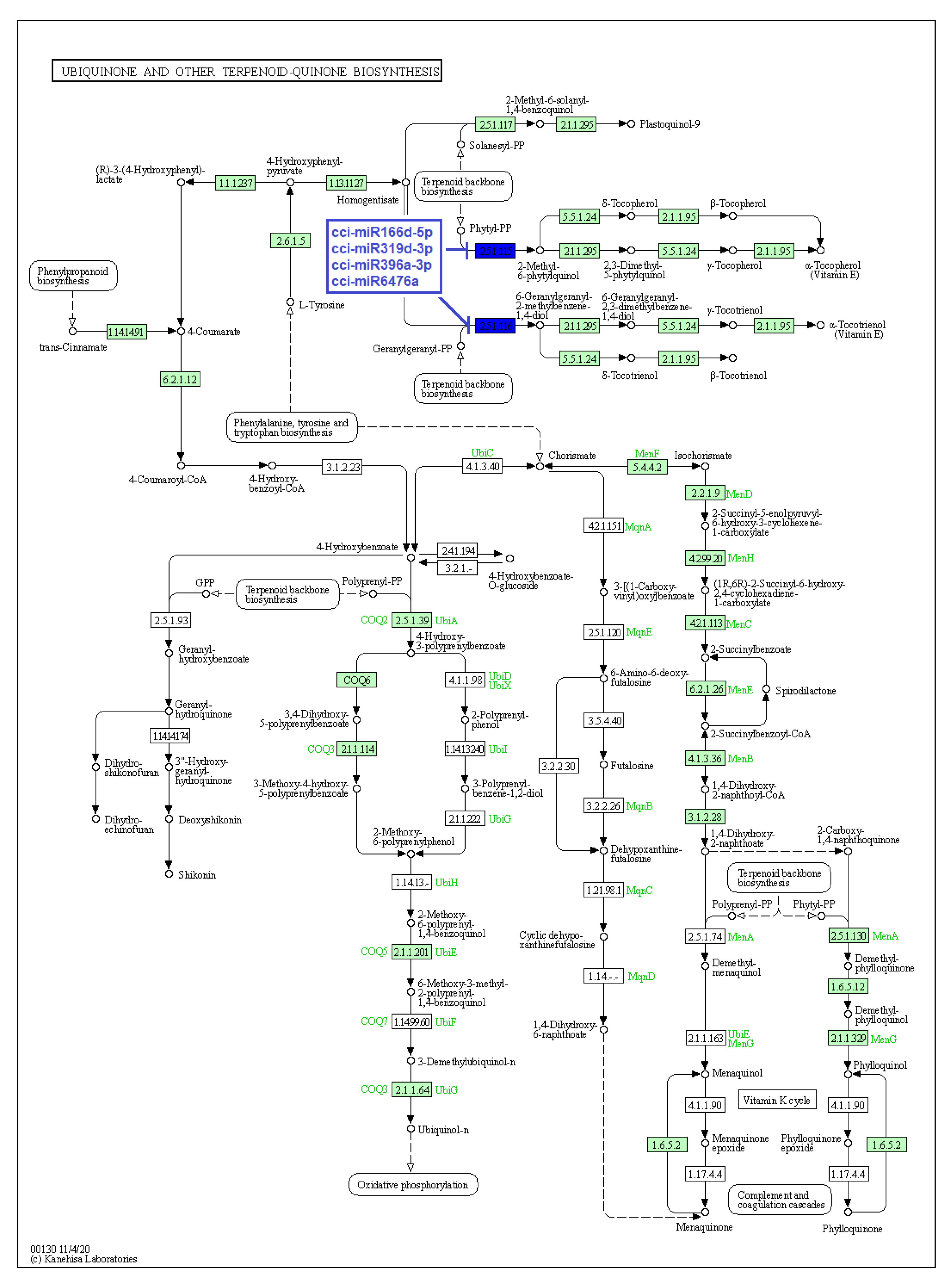Plants 12 01756 g007