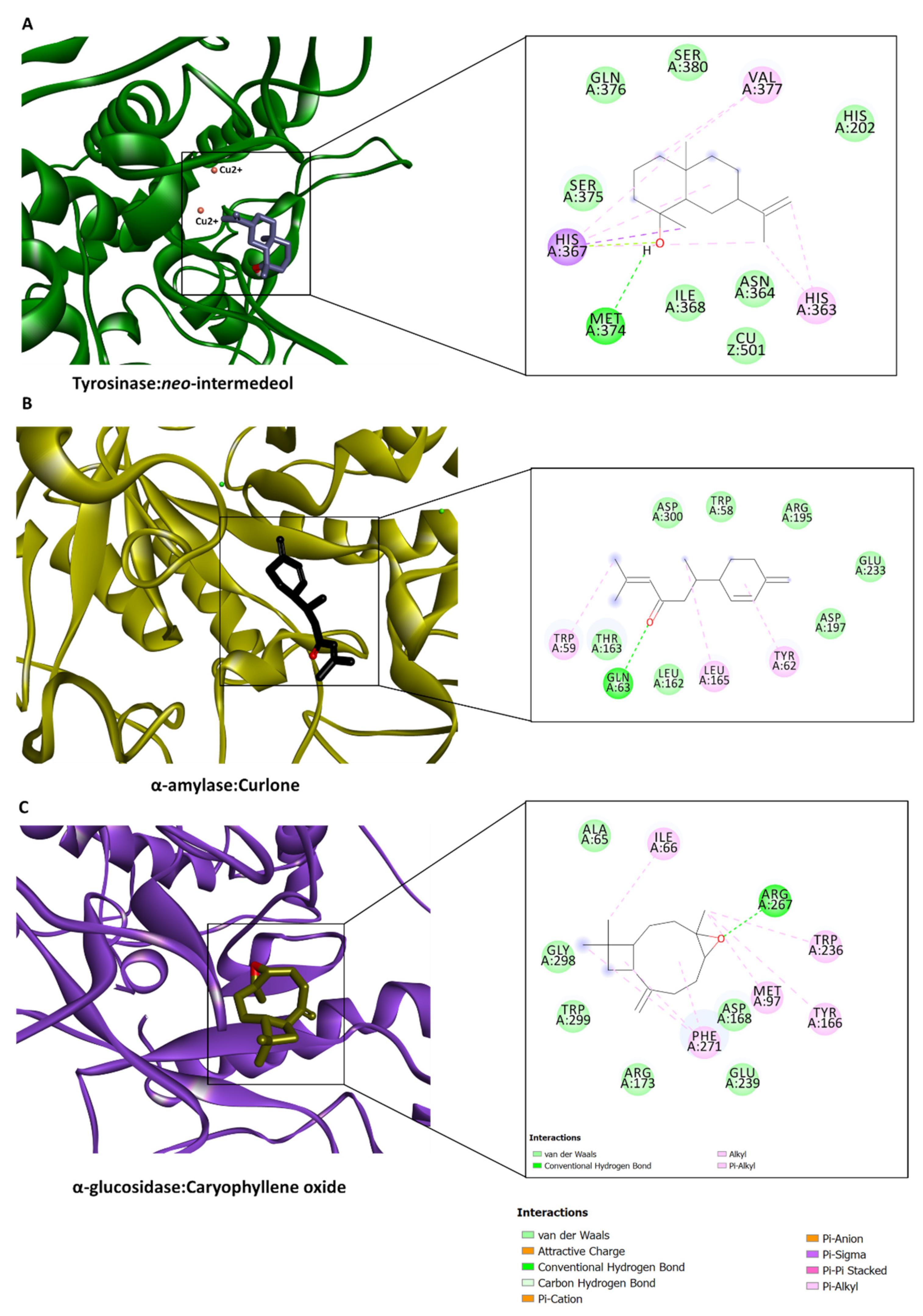 Plants 12 01785 g005 Plants 12 01785 g005