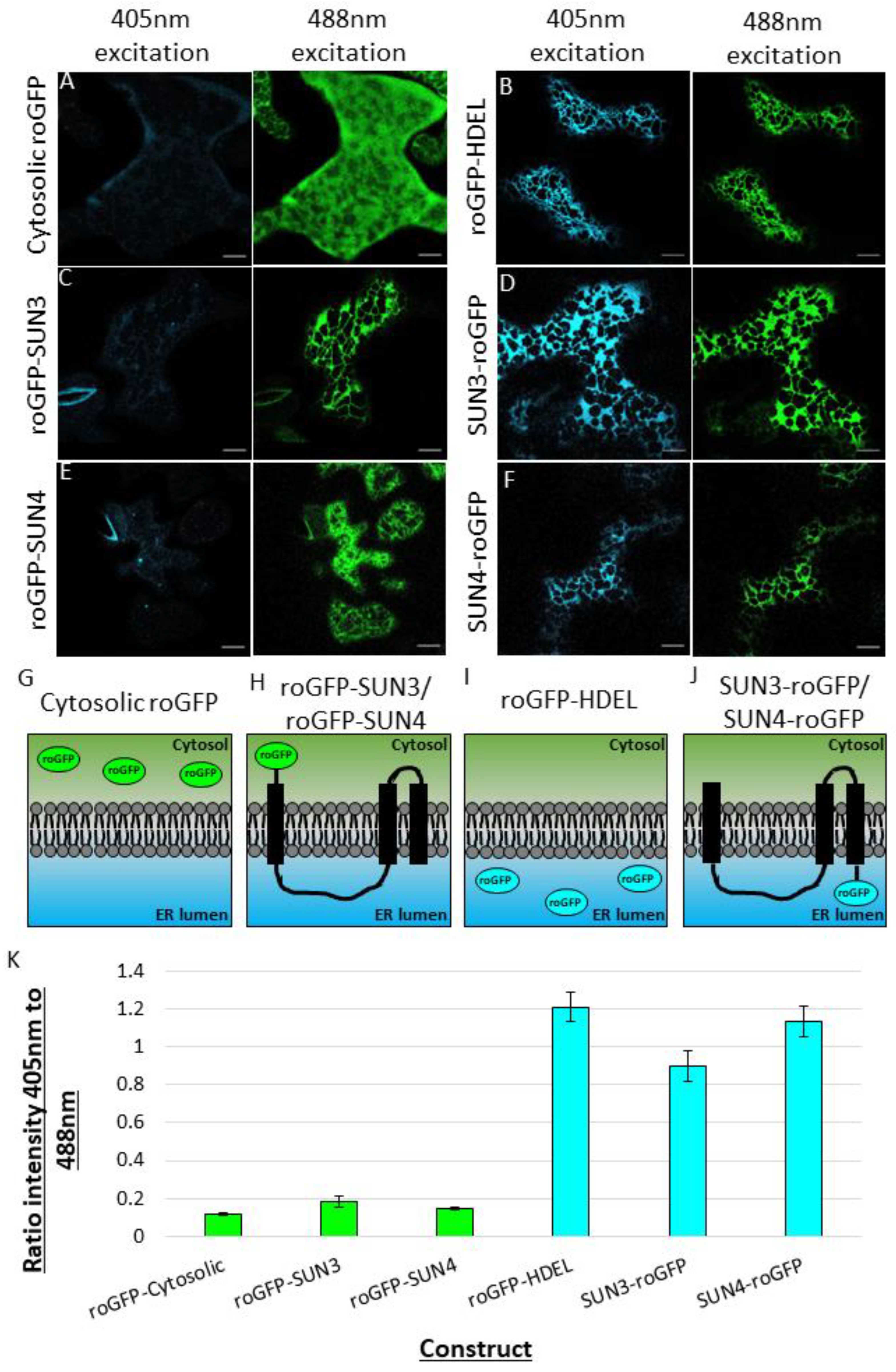 Plants 12 01787 g004