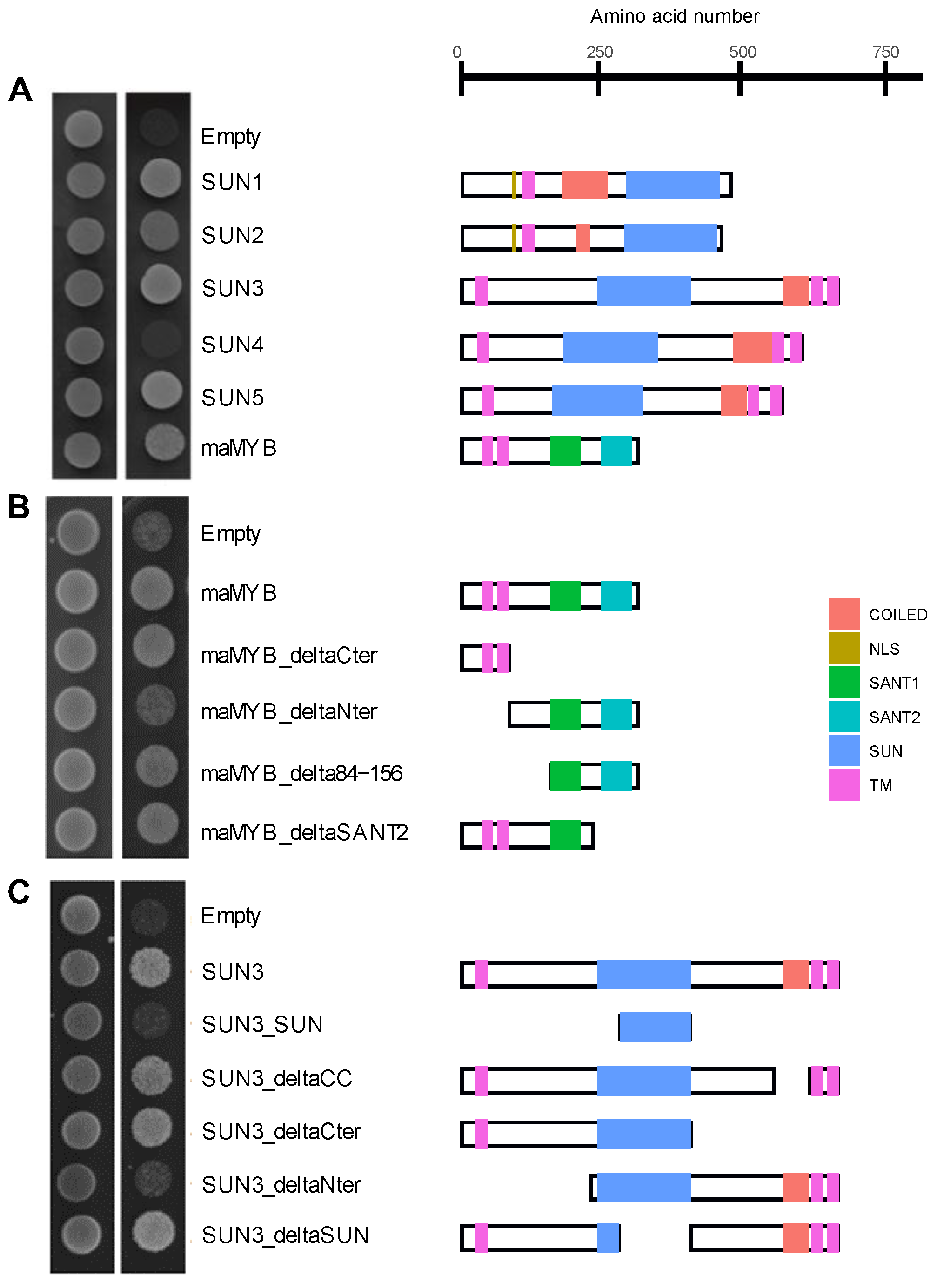 Plants 12 01787 g005