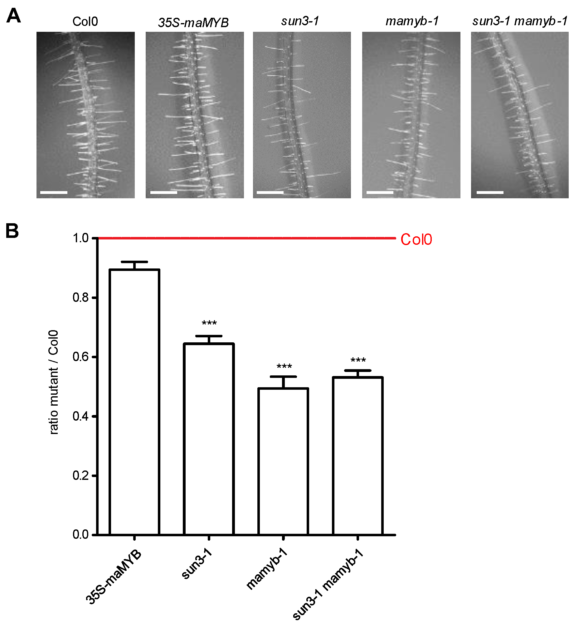 Plants 12 01787 g006