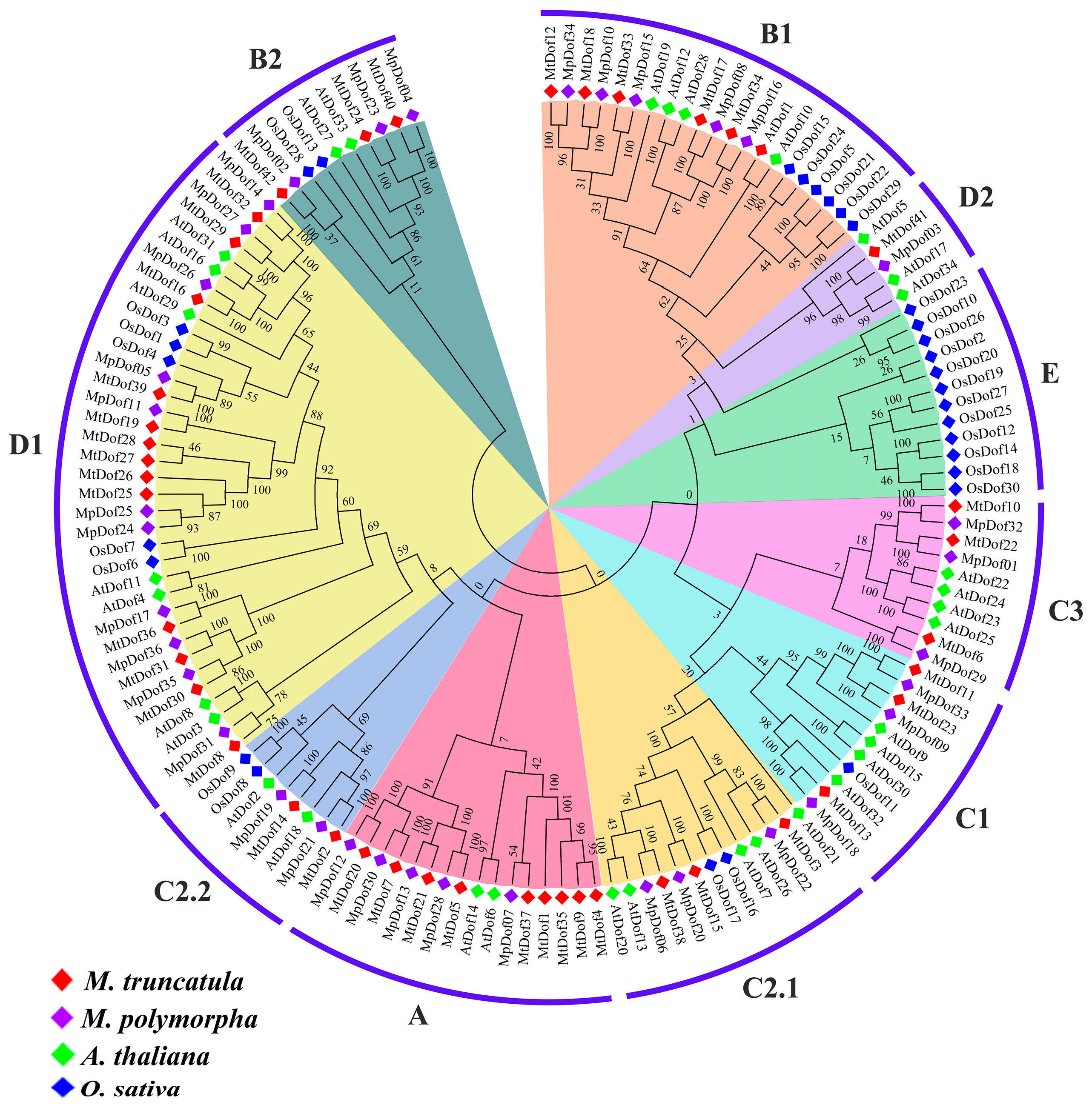 Plants 12 01831 g001