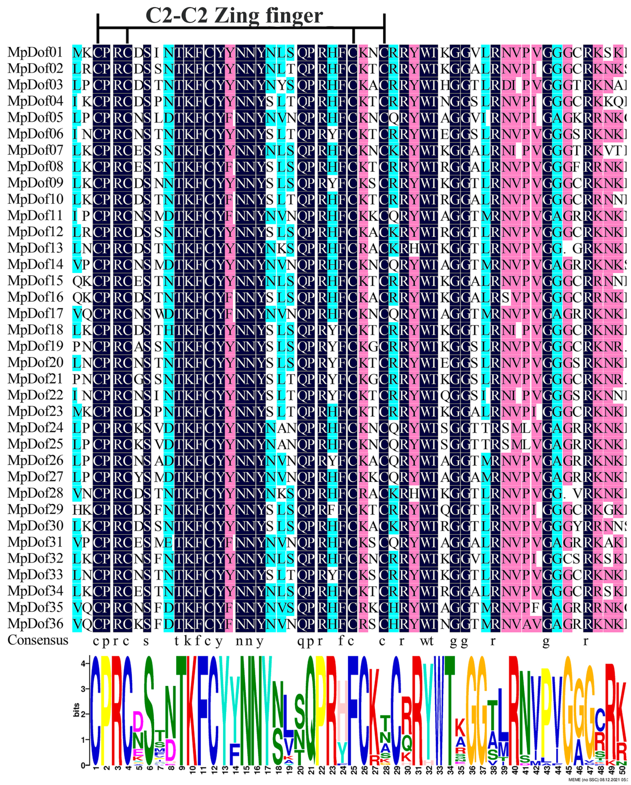 Plants 12 01831 g004