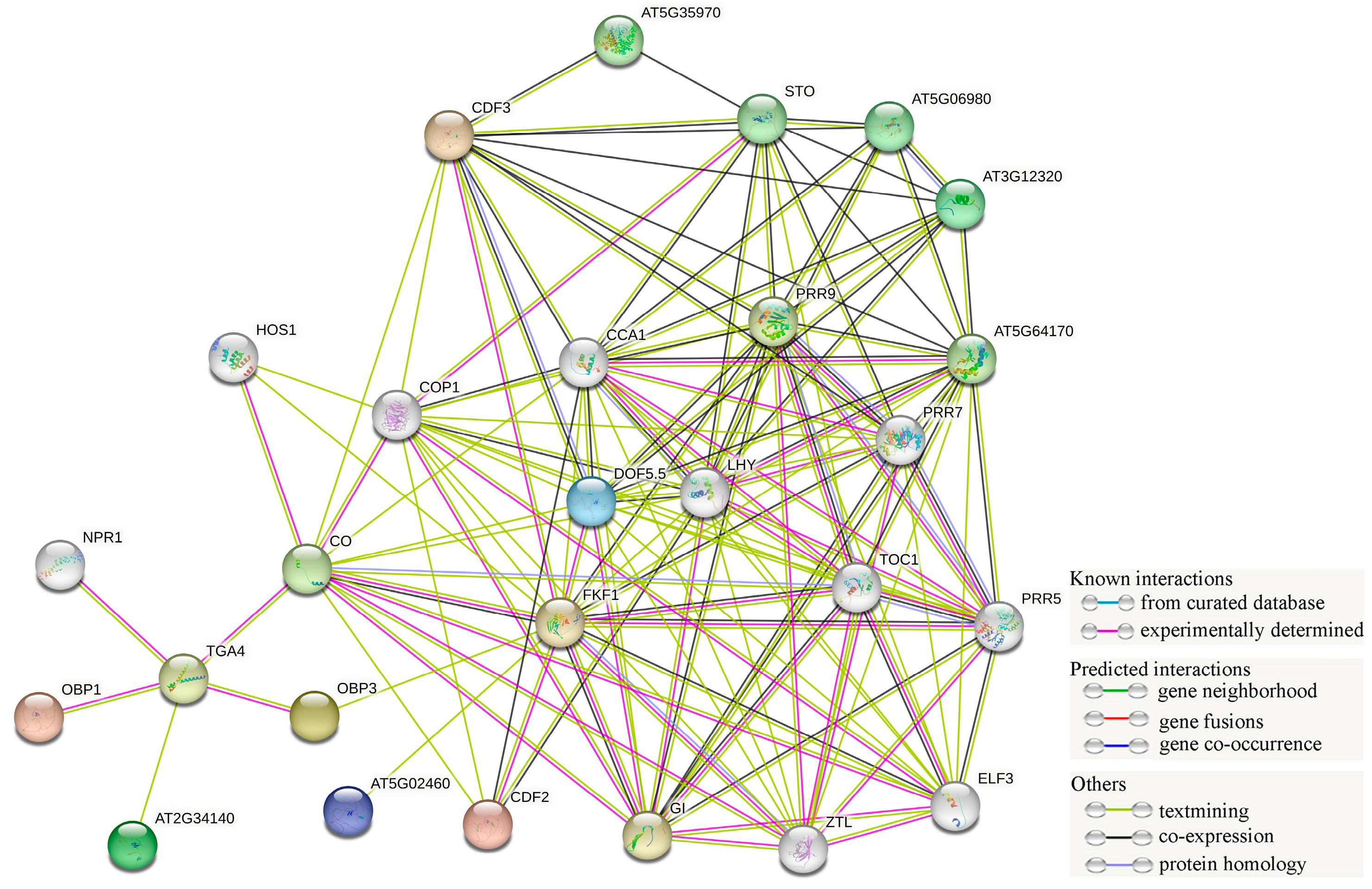 Plants 12 01831 g008
