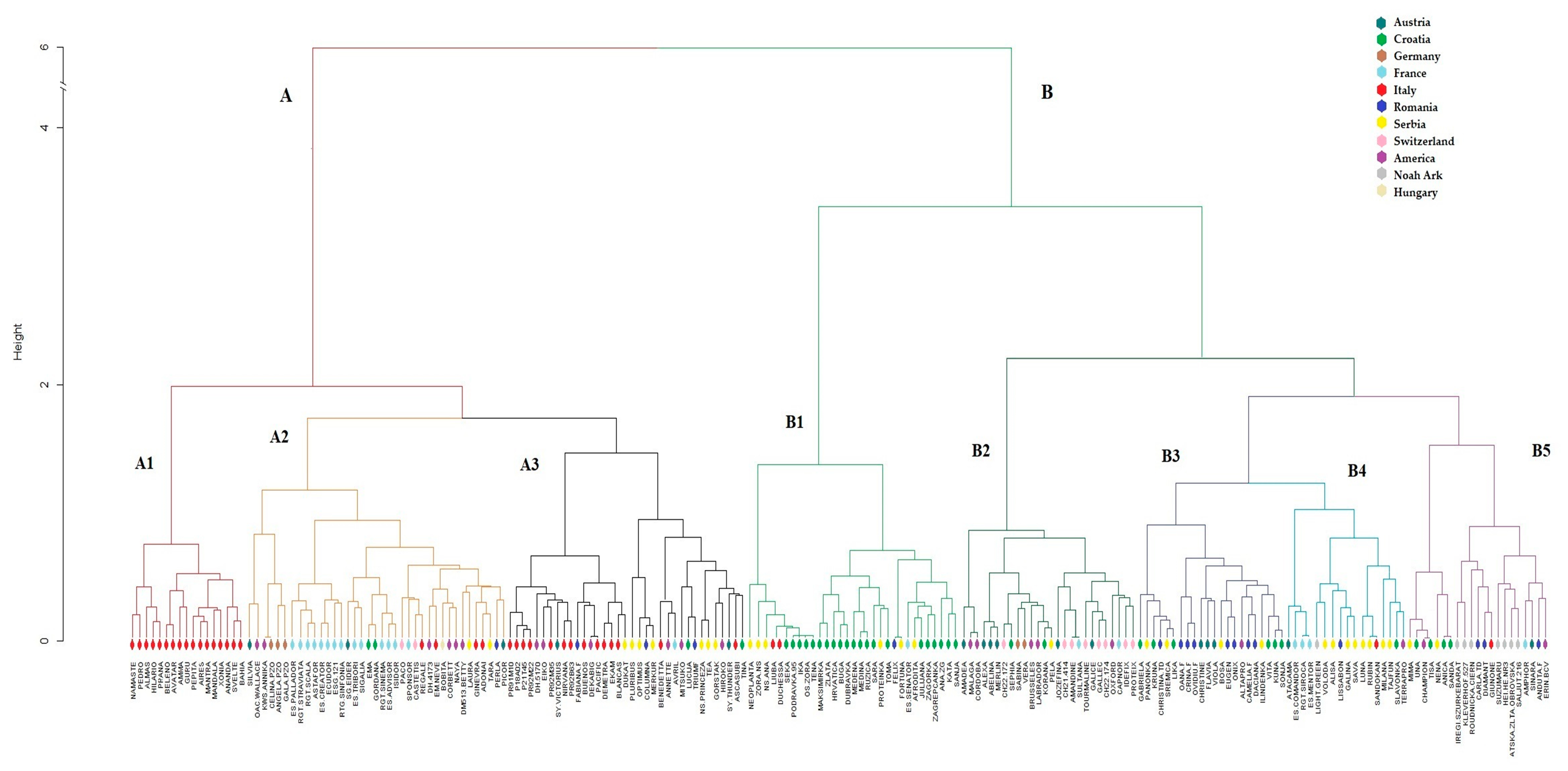 Plants 12 01837 g003
