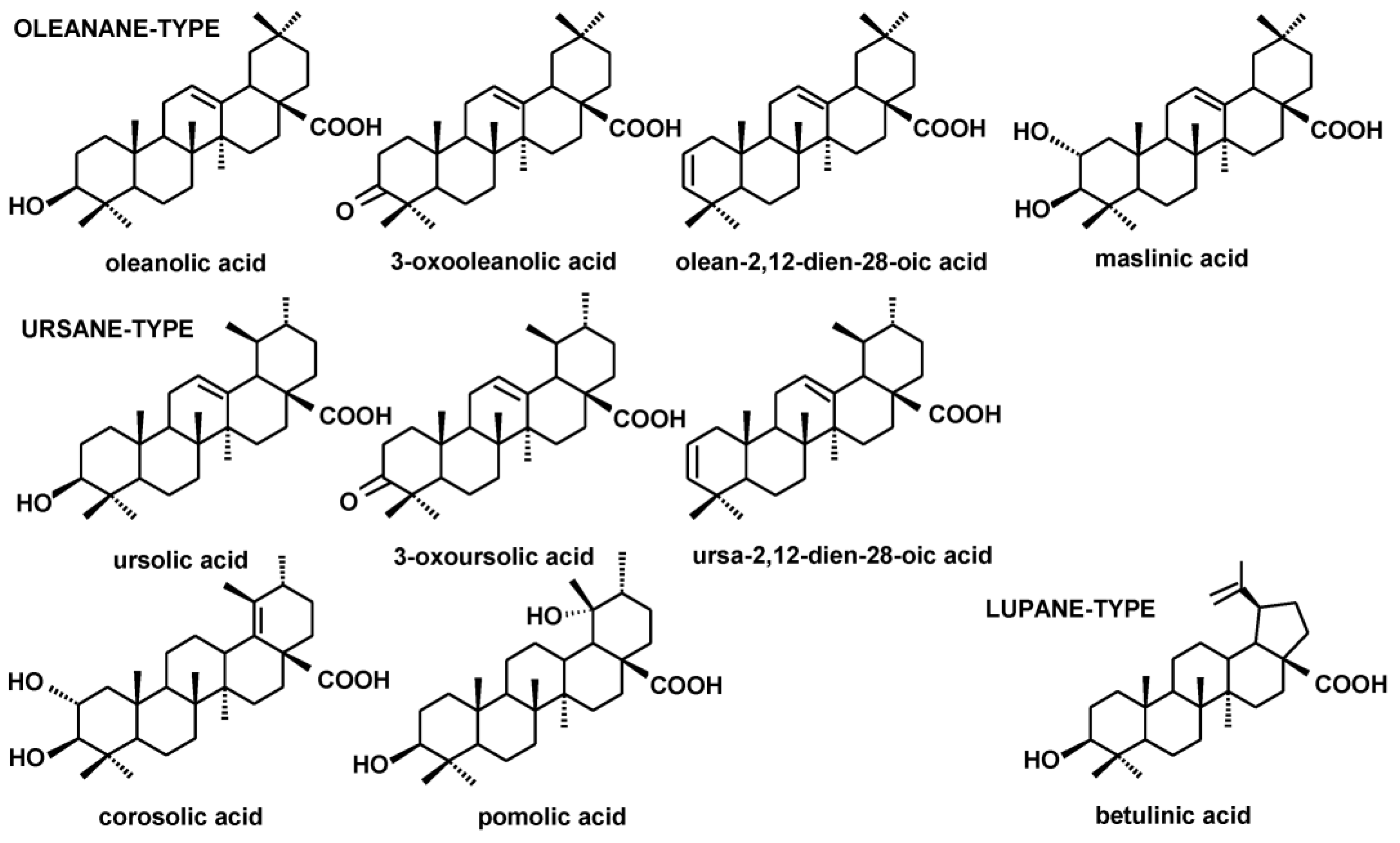 Plants 12 01838 g003 Plants 12 01838 g003