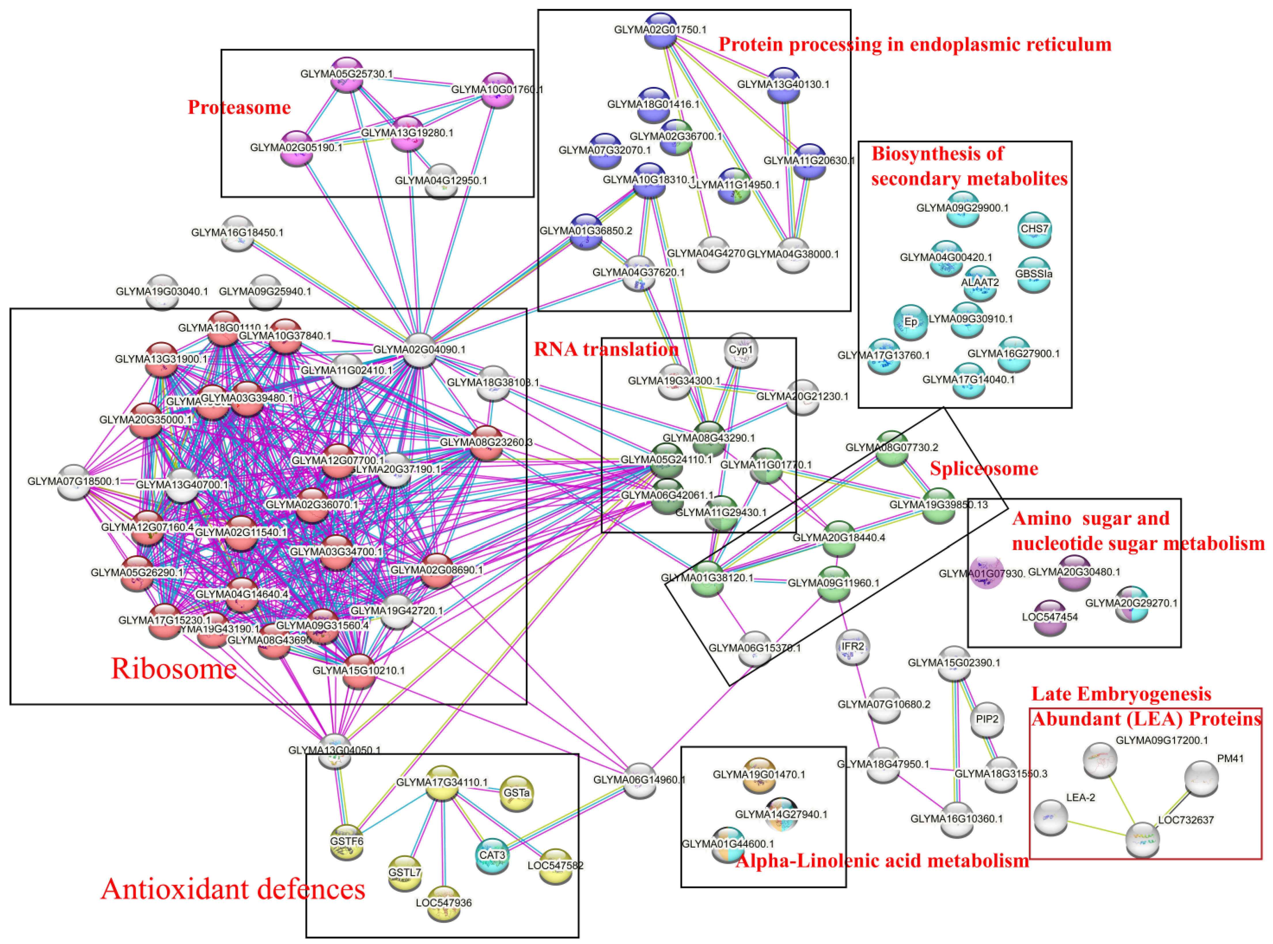 Plants 12 01842 g006 Plants 12 01842 g006