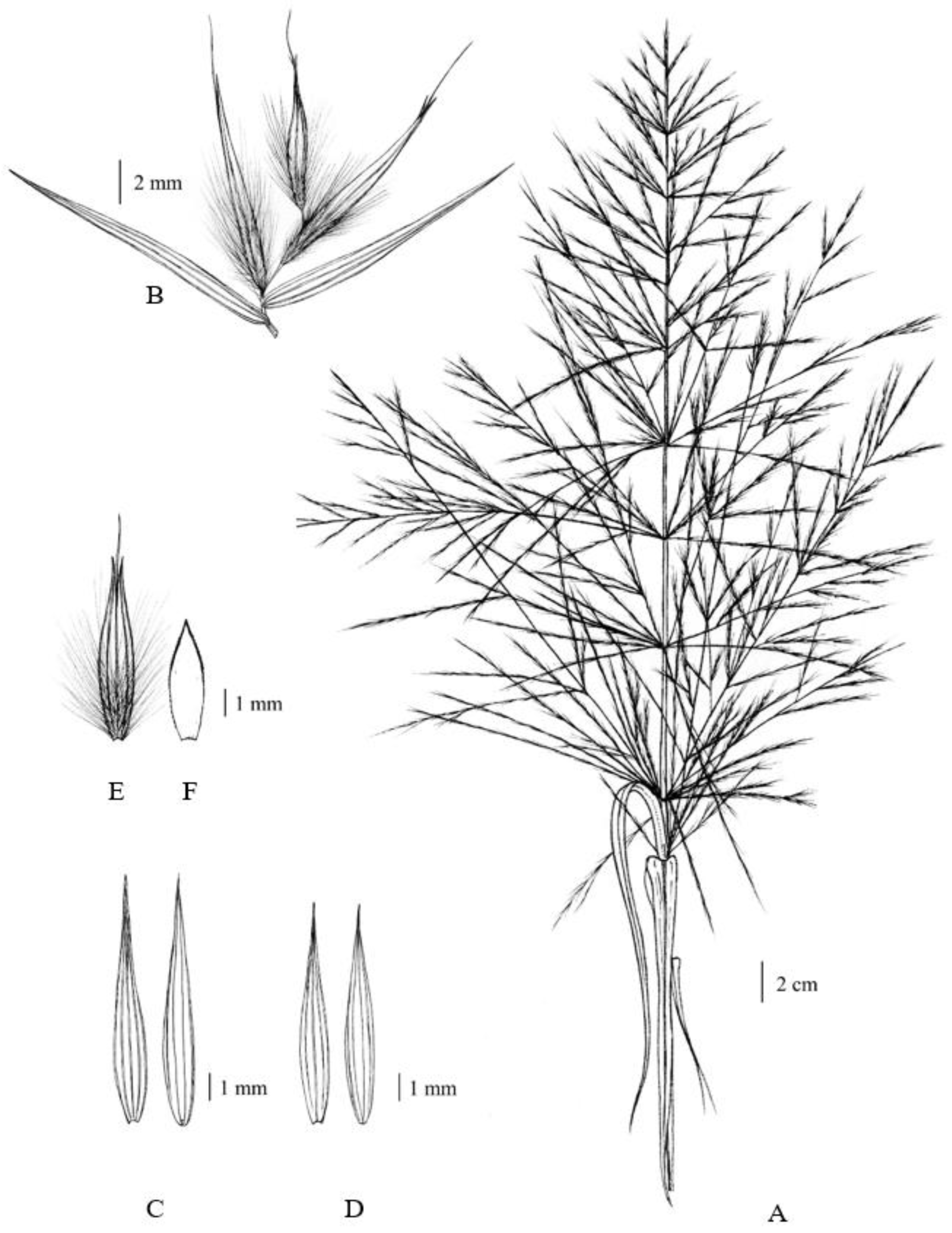 Plants 12 01850 g002