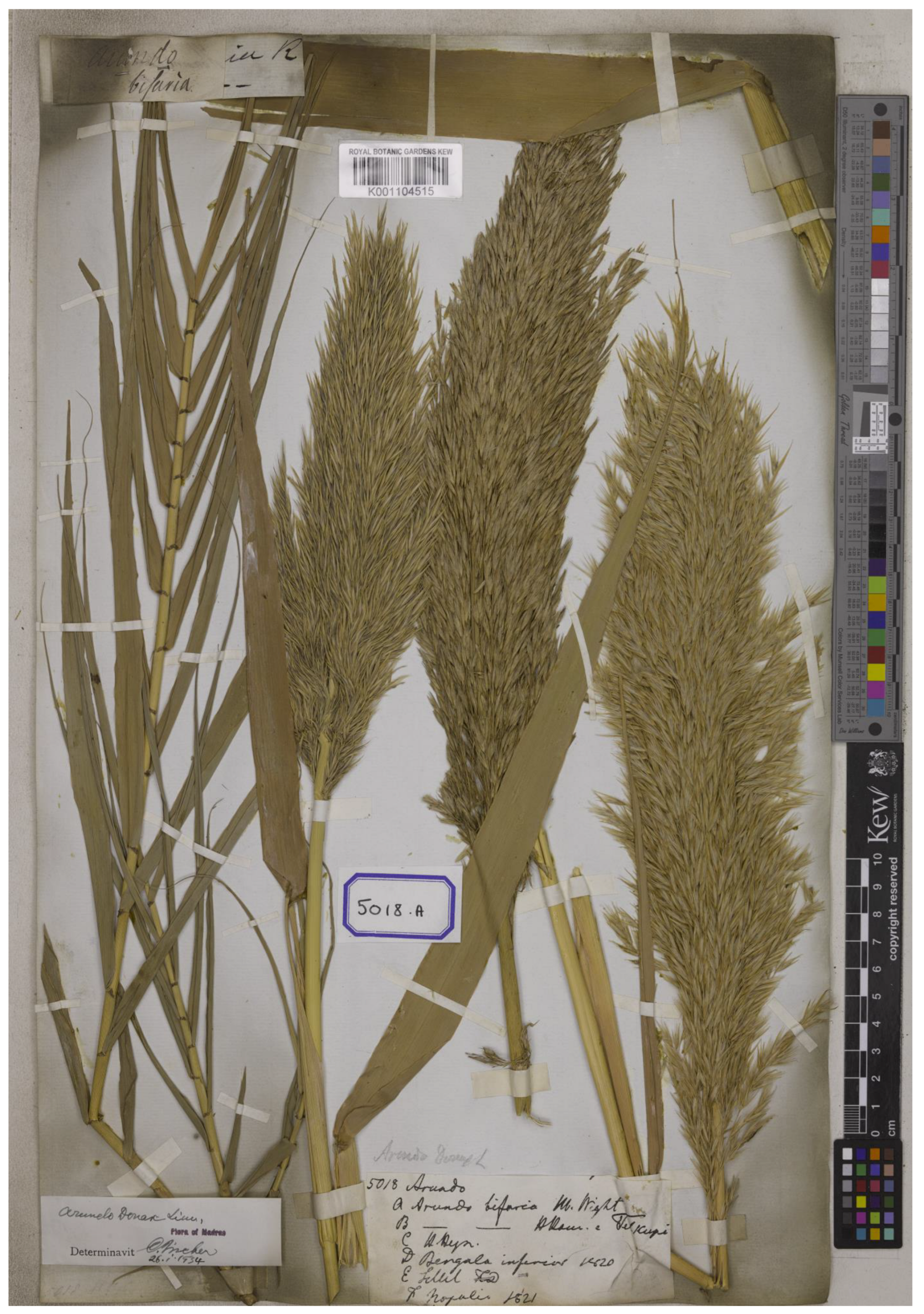 Plants 12 01850 g006