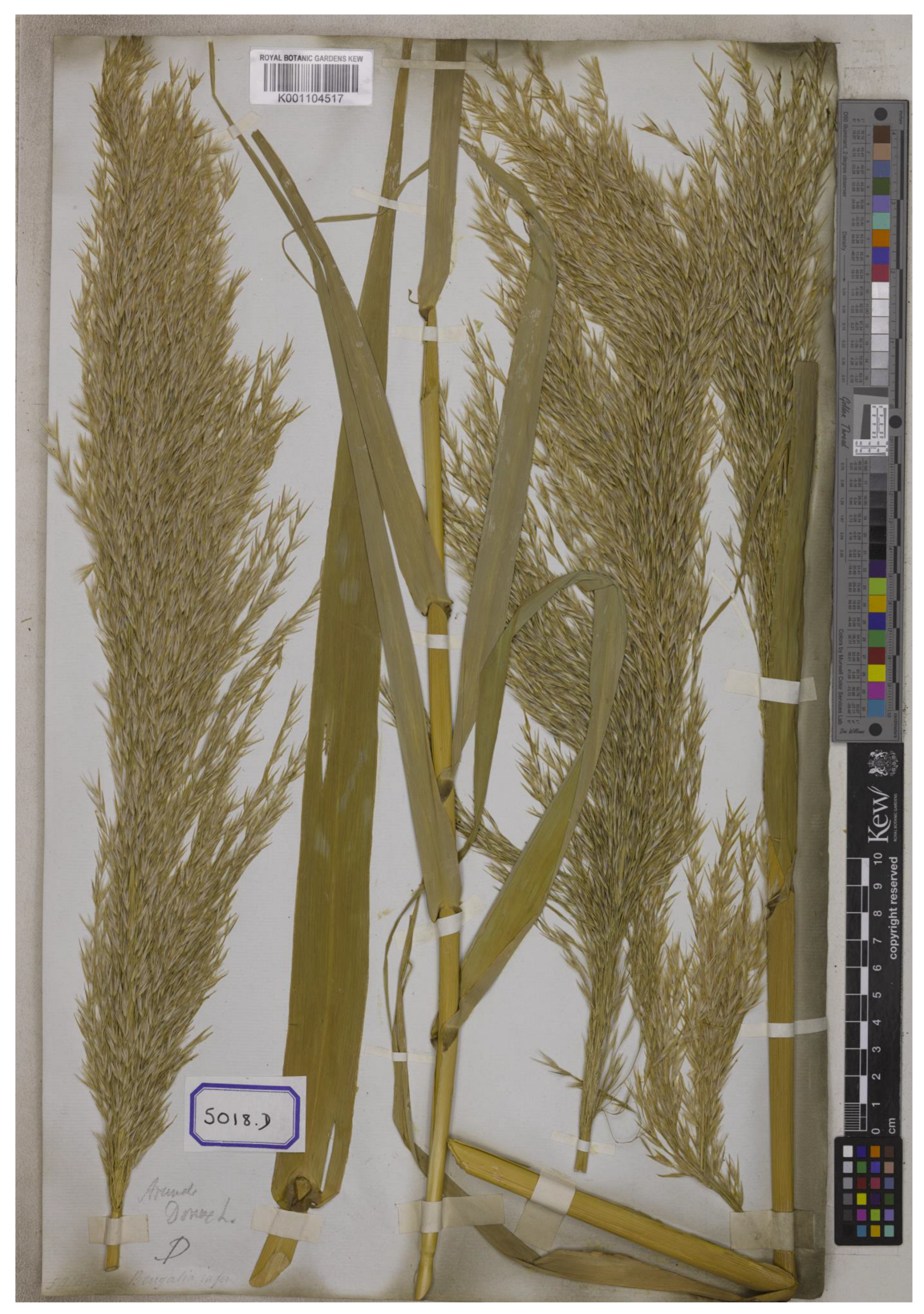 Plants 12 01850 g007