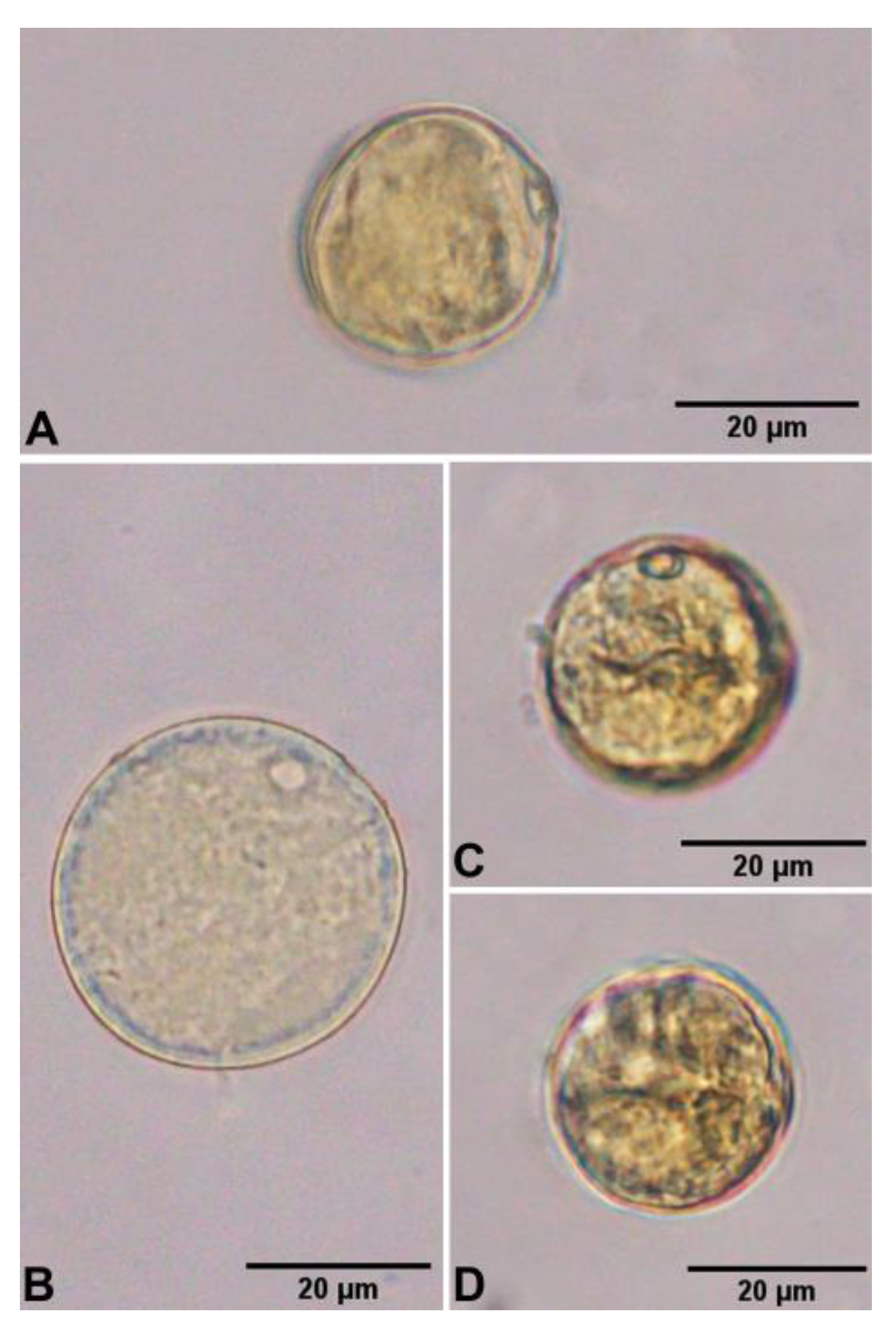 Plants 12 01850 g014