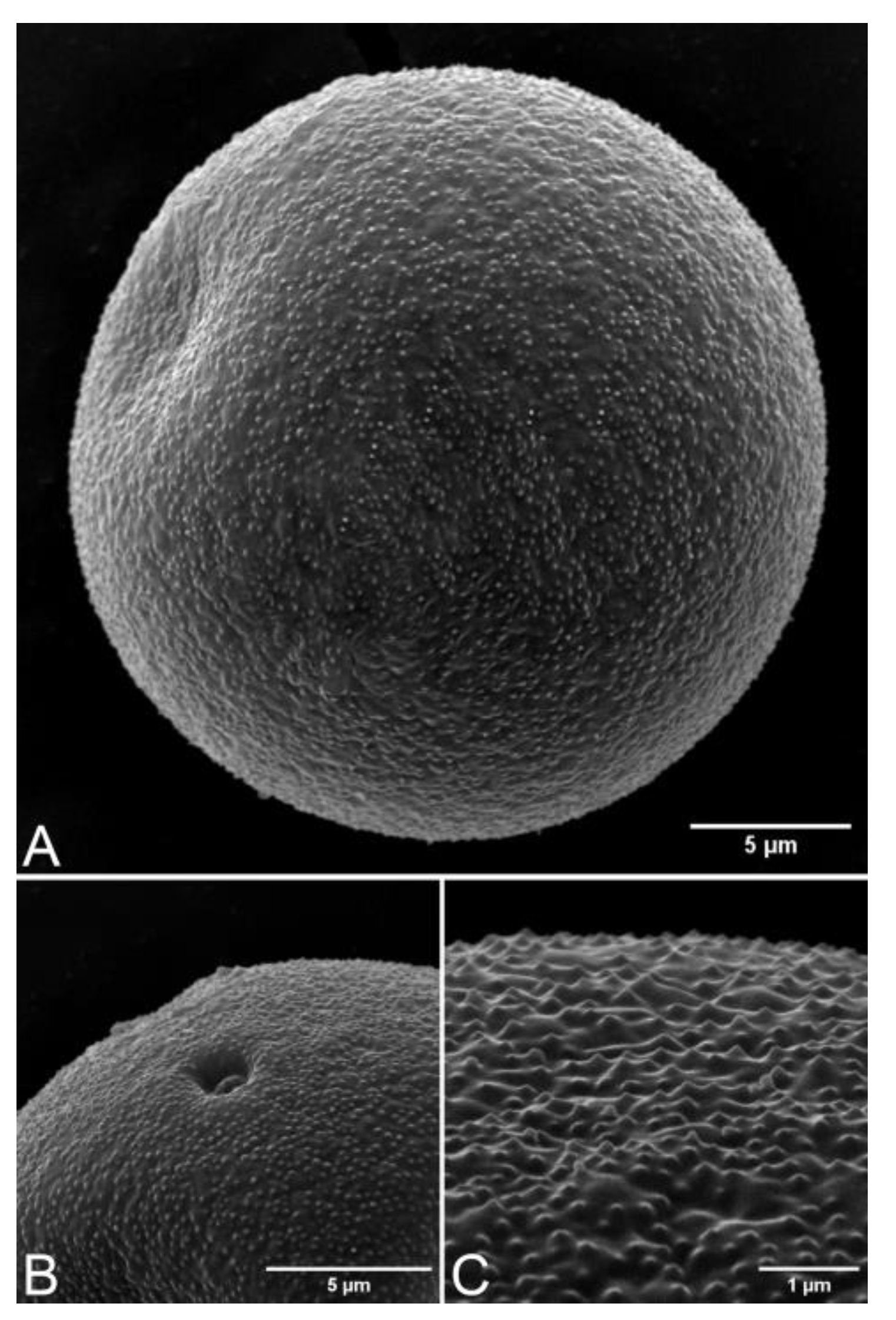 Plants 12 01850 g015