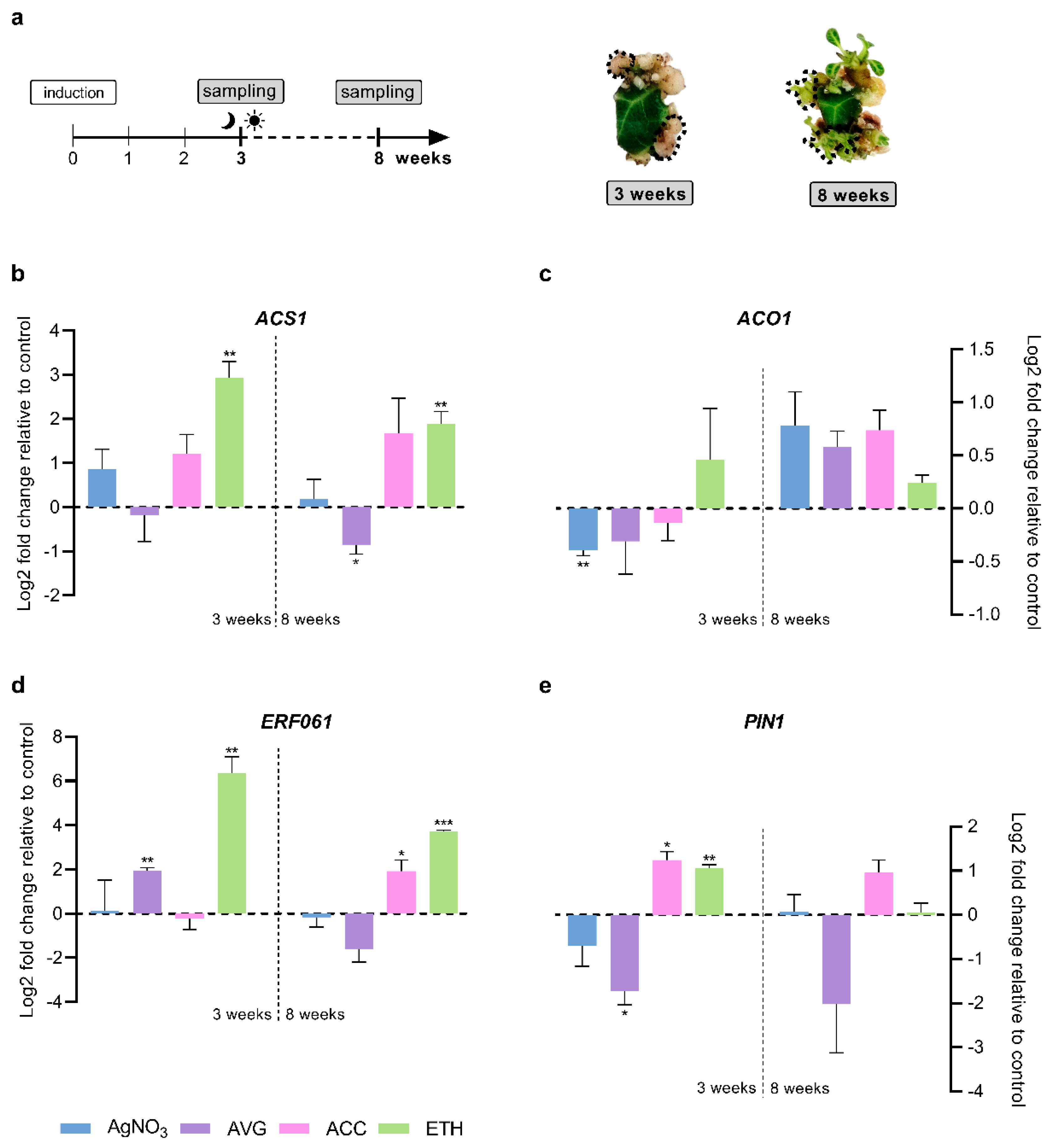 Plants 12 01854 g002 Plants 12 01854 g002