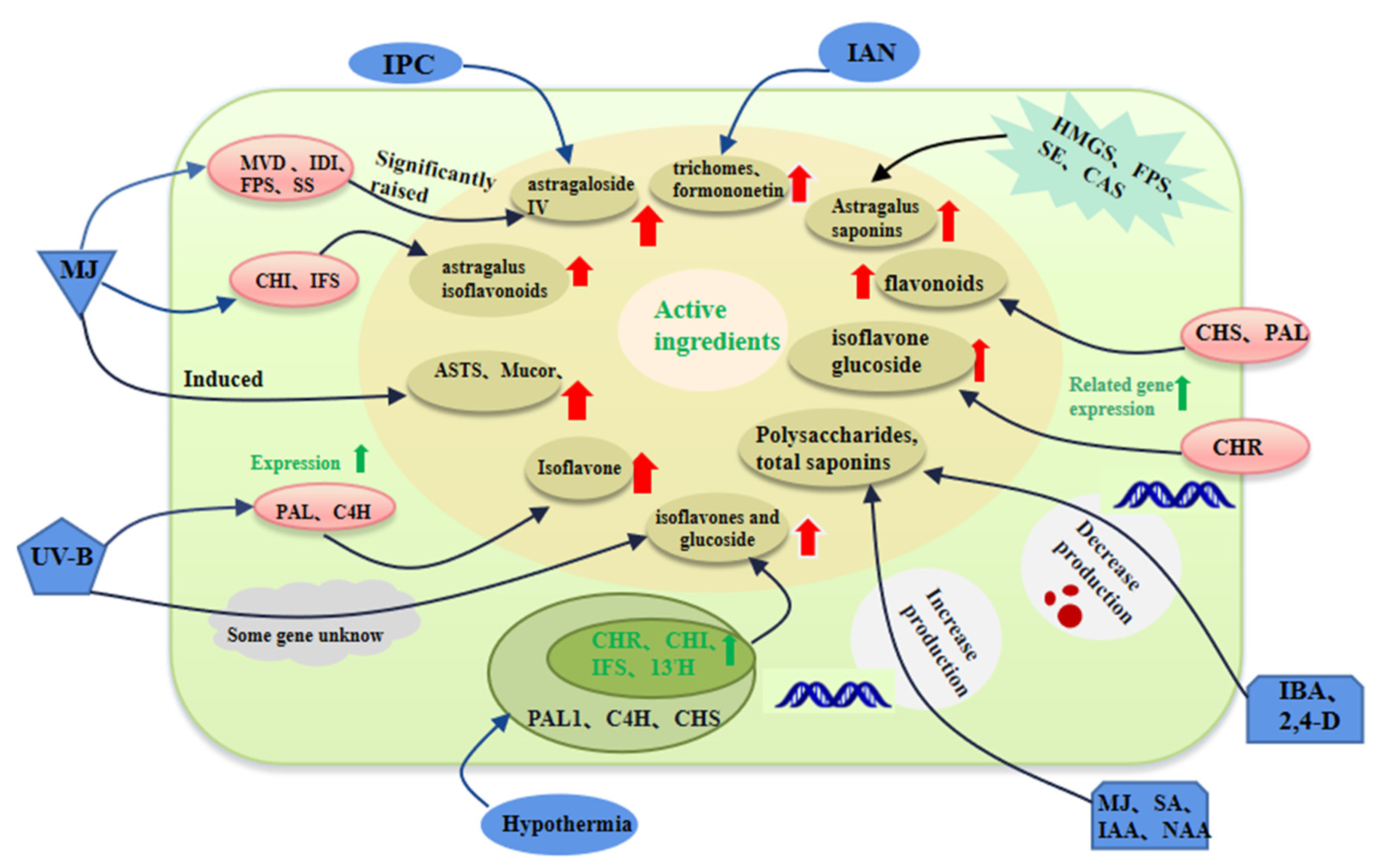 h20 zu h2o2 Mechanismus