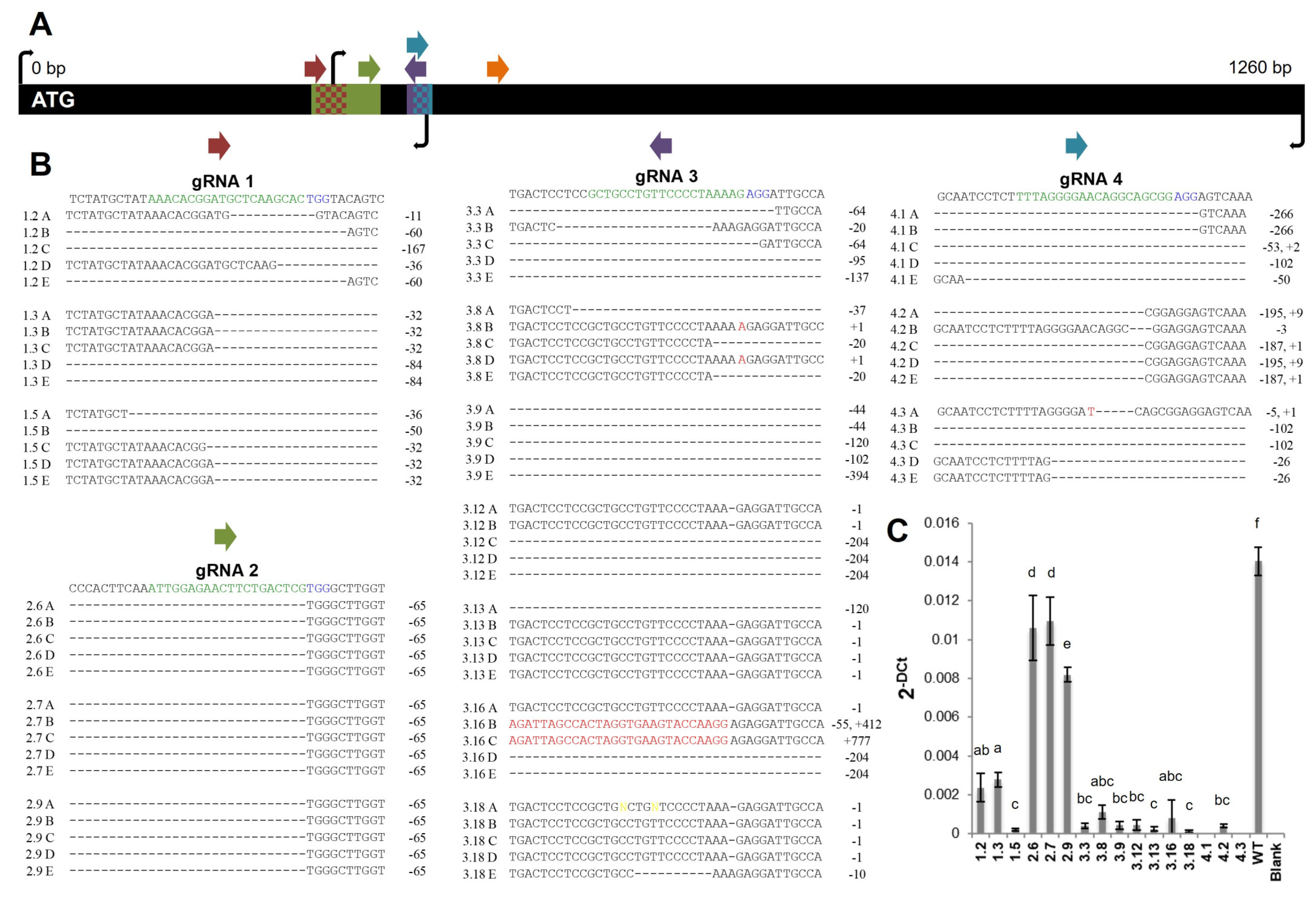 Plants 12 01878 g001