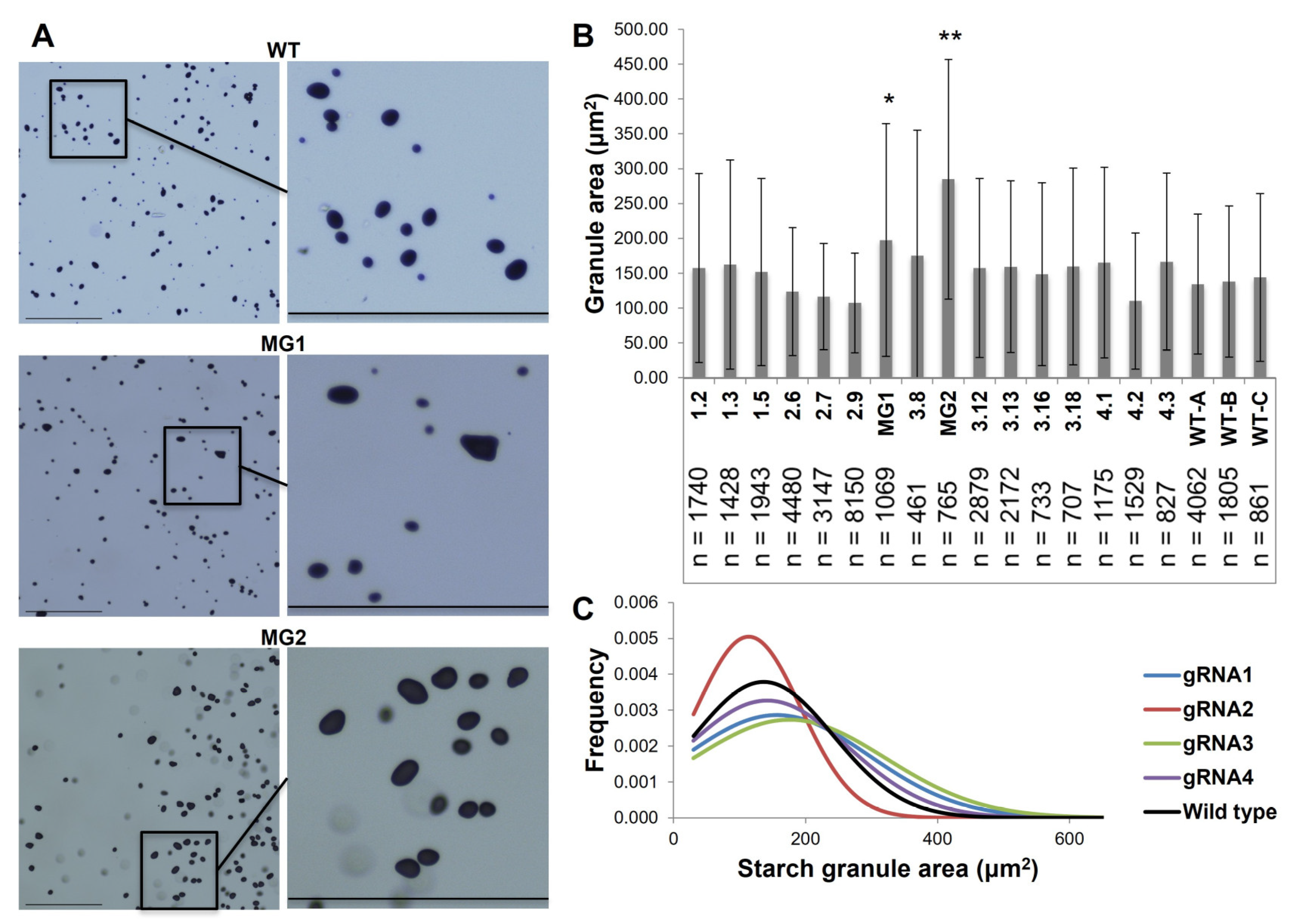 Plants 12 01878 g002
