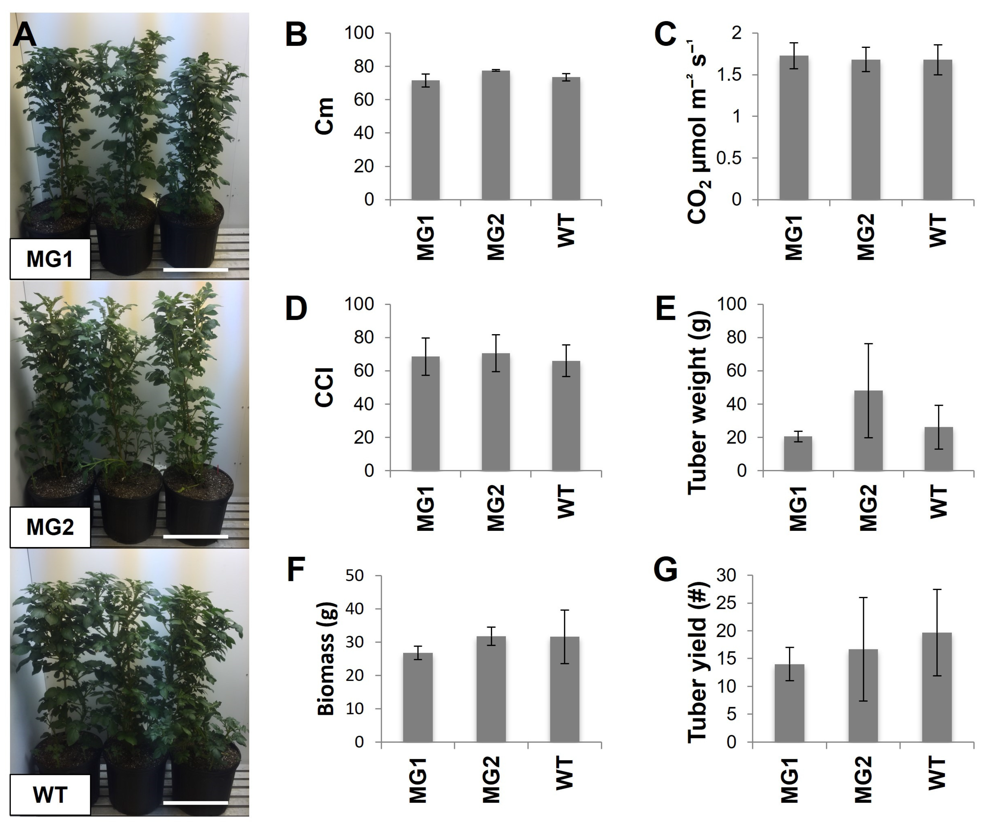 Plants 12 01878 g003
