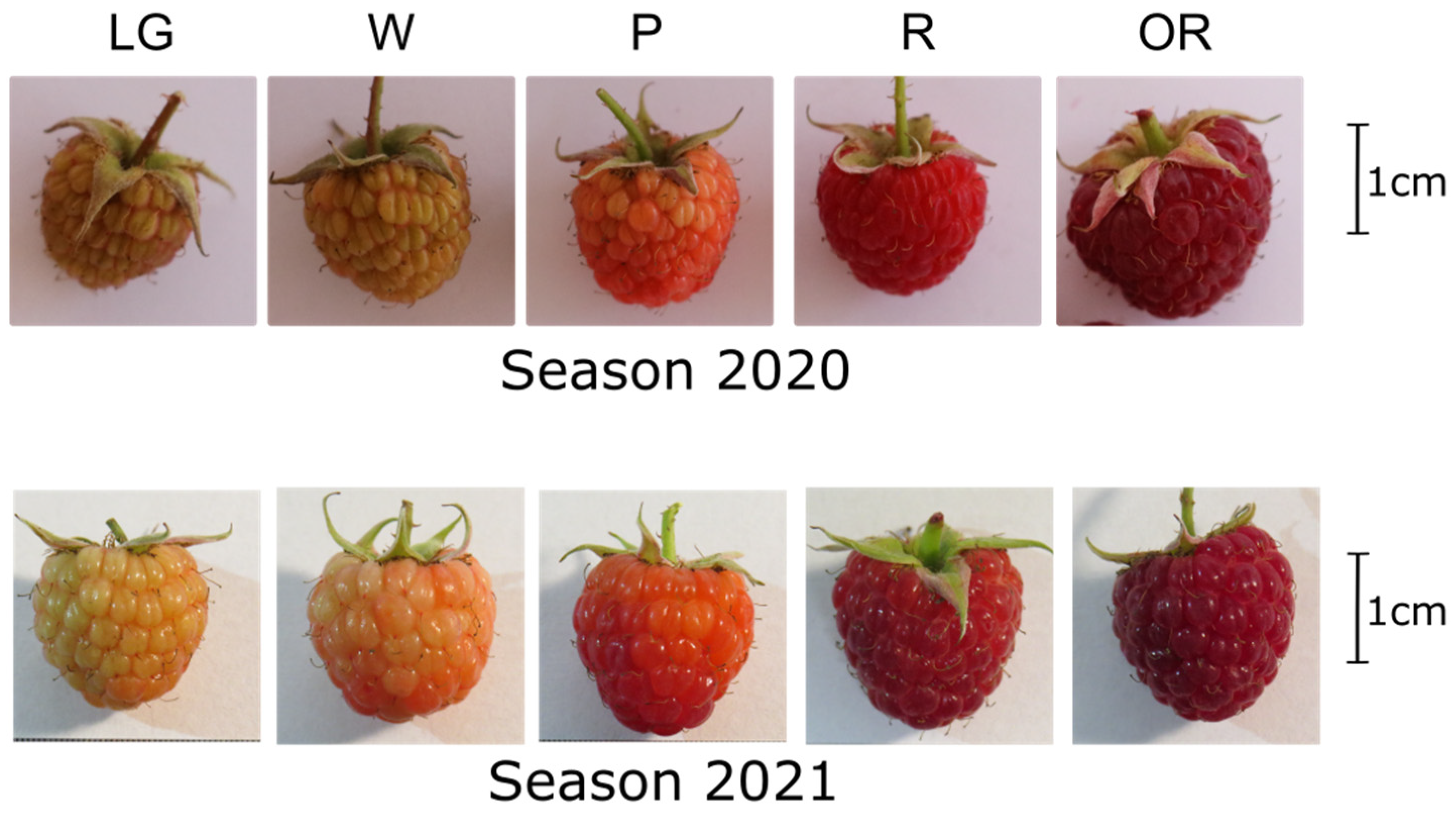 Plants Free FullText Abscisic Acid Synthesis and Signaling during