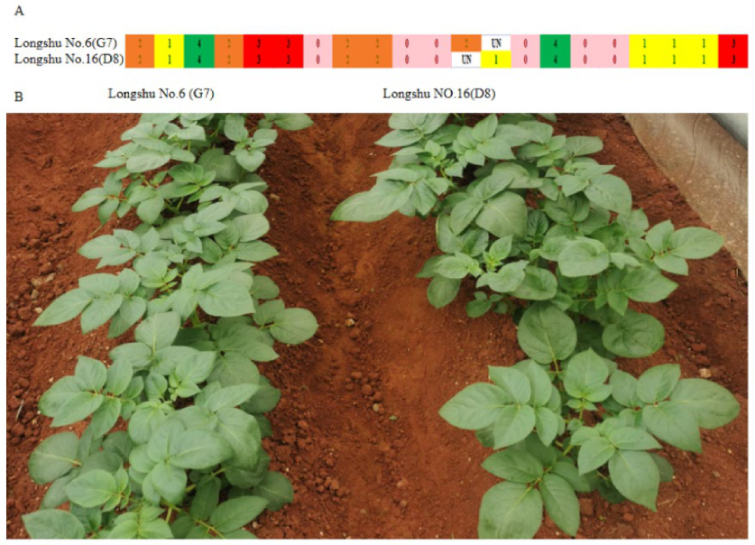Plants 12 01895 g009 Plants 12 01895 g009