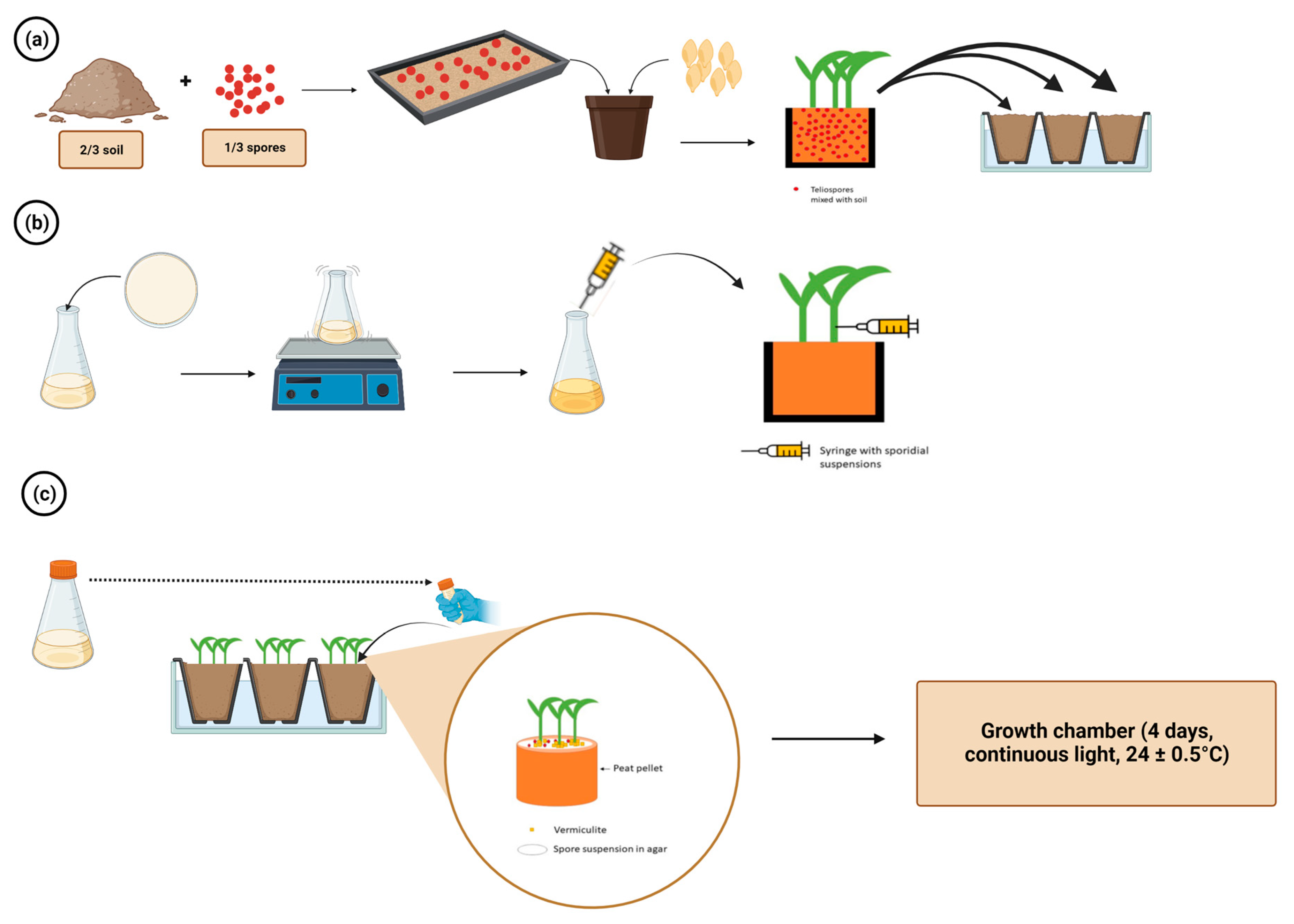 Plants 12 01906 g005 Plants 12 01906 g005