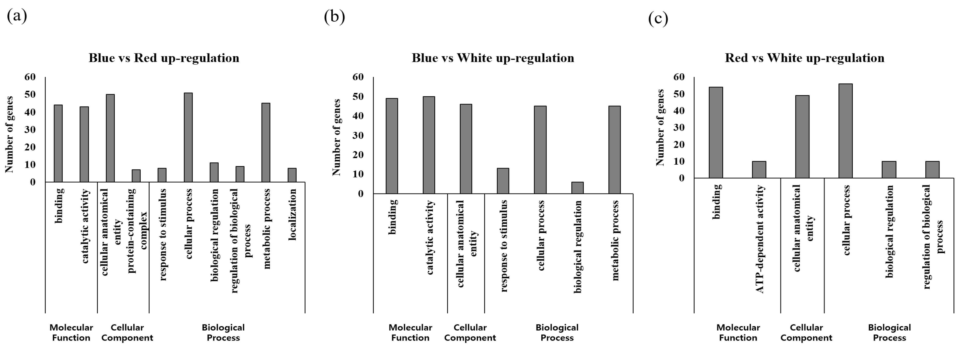 Plants 12 01914 g003 Plants 12 01914 g003