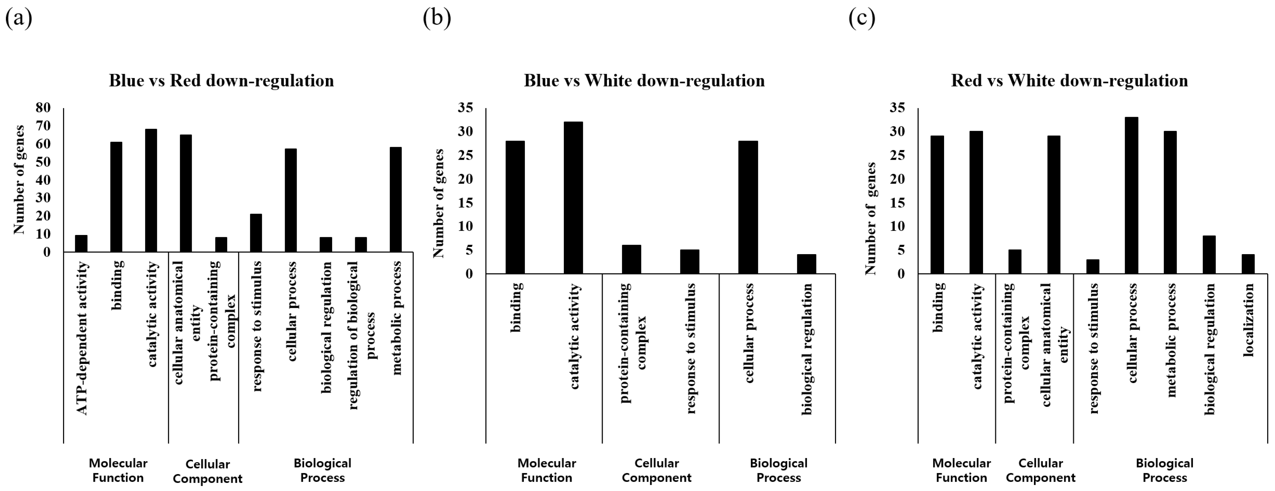 Plants 12 01914 g004 Plants 12 01914 g004