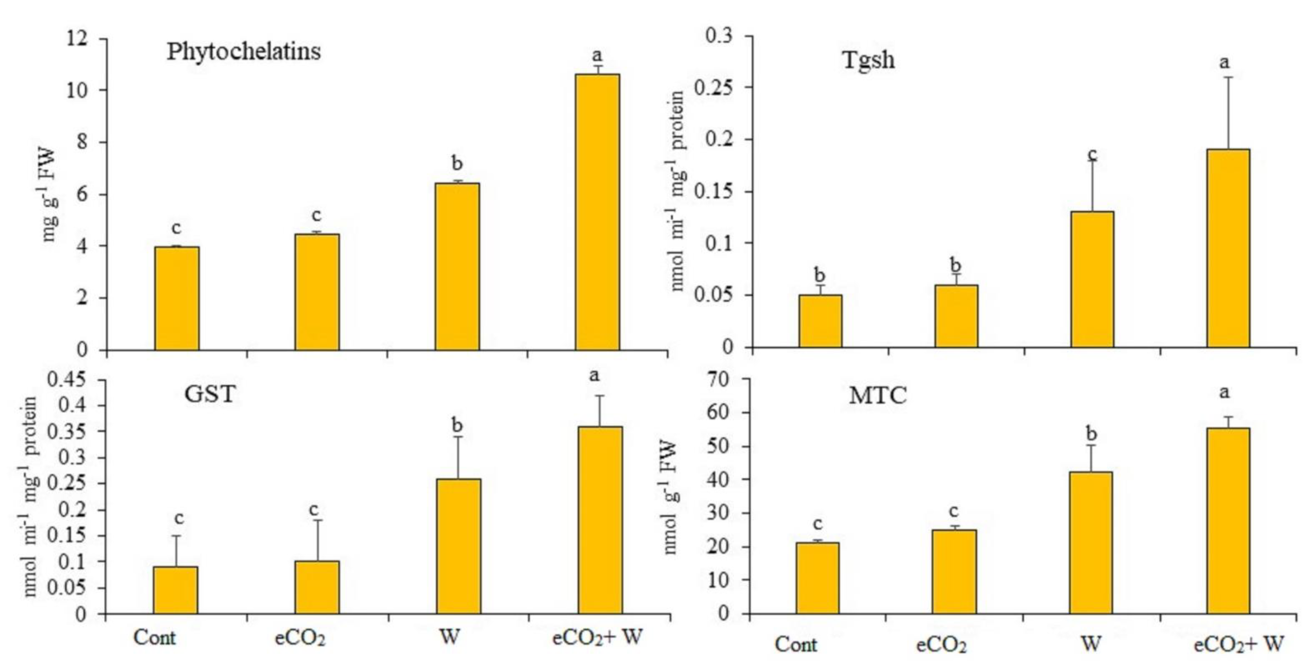 Plants 12 01924 g004