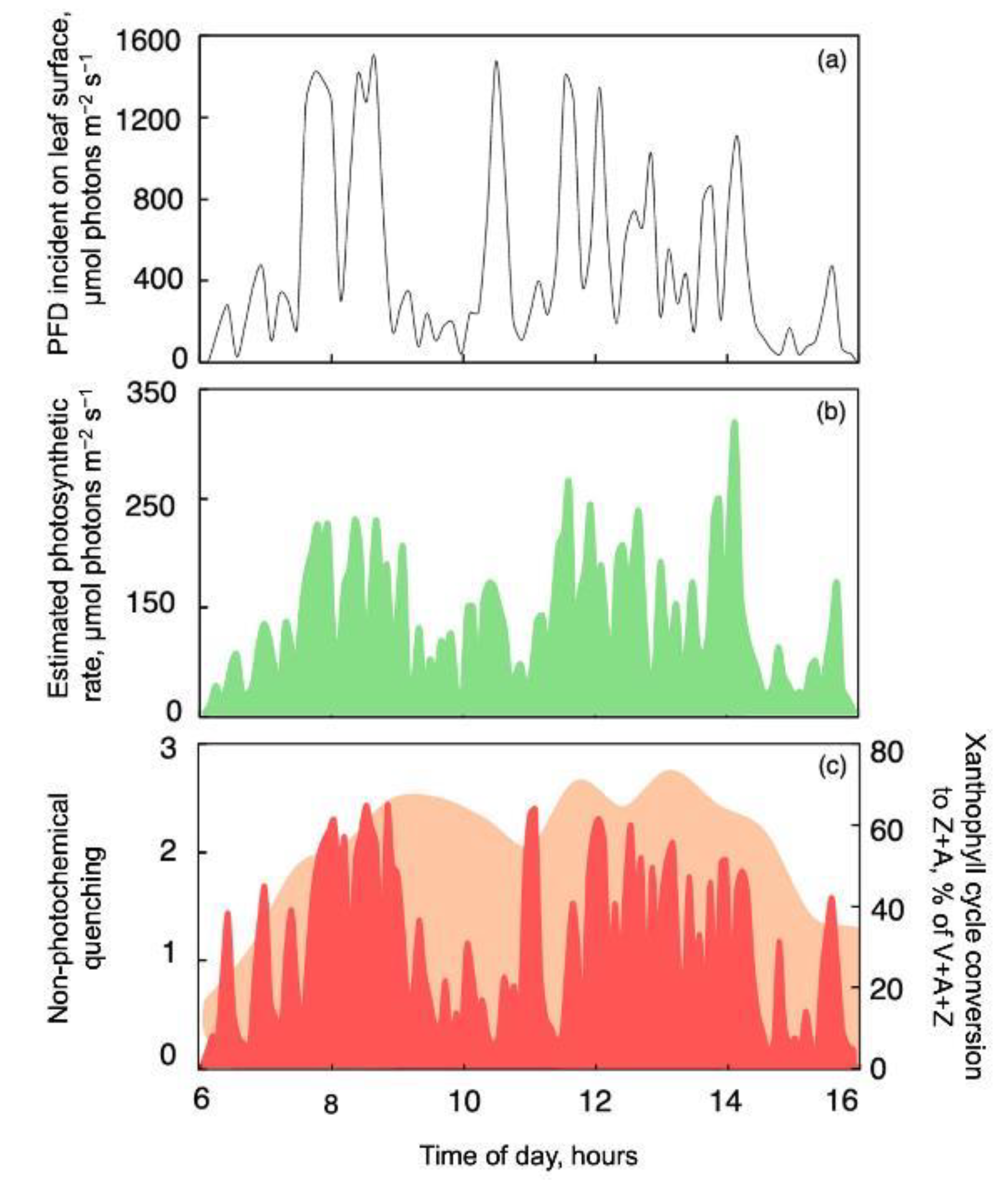 Plants 12 01928 g003 Plants 12 01928 g003