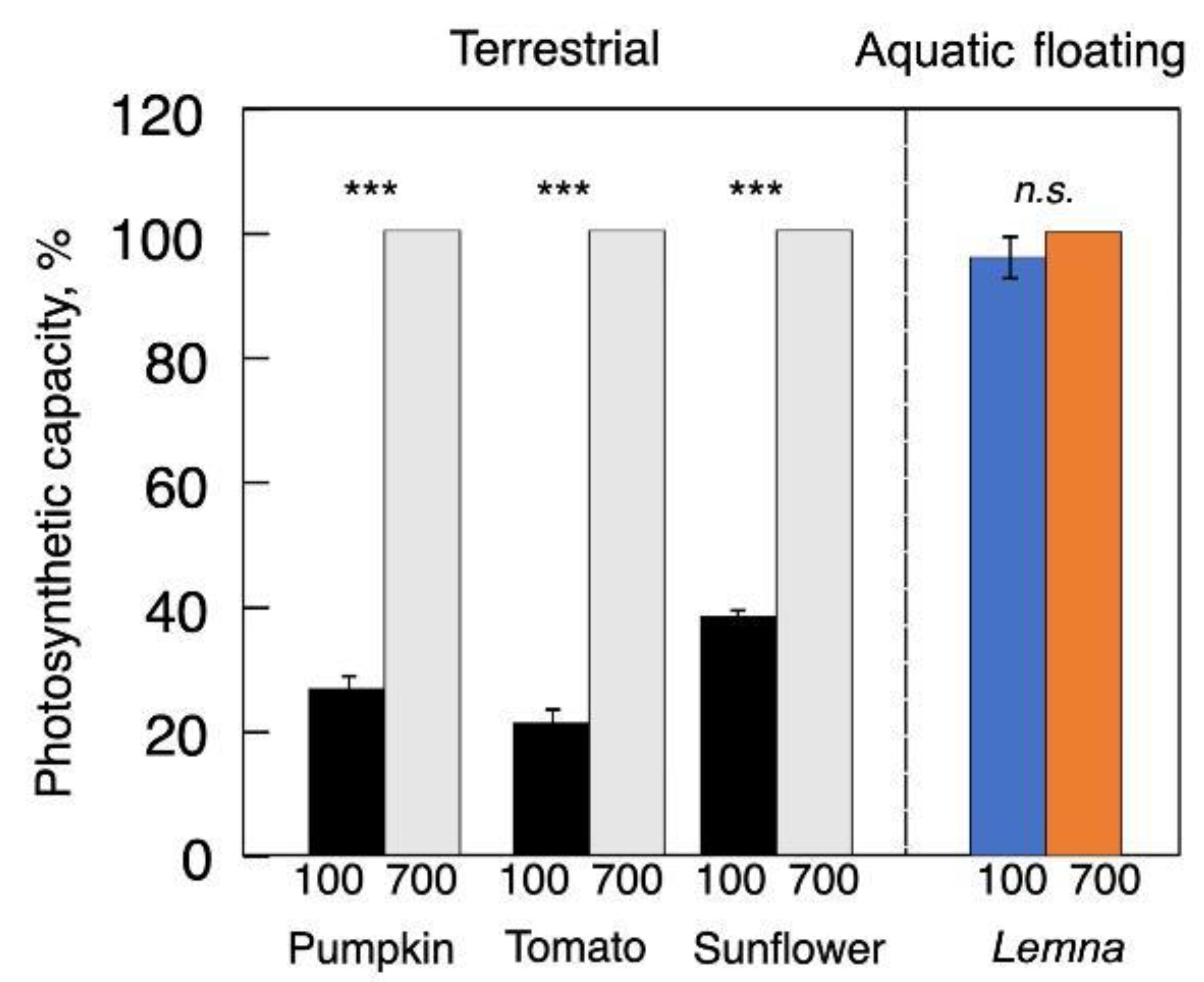 Plants 12 01928 g004 Plants 12 01928 g004