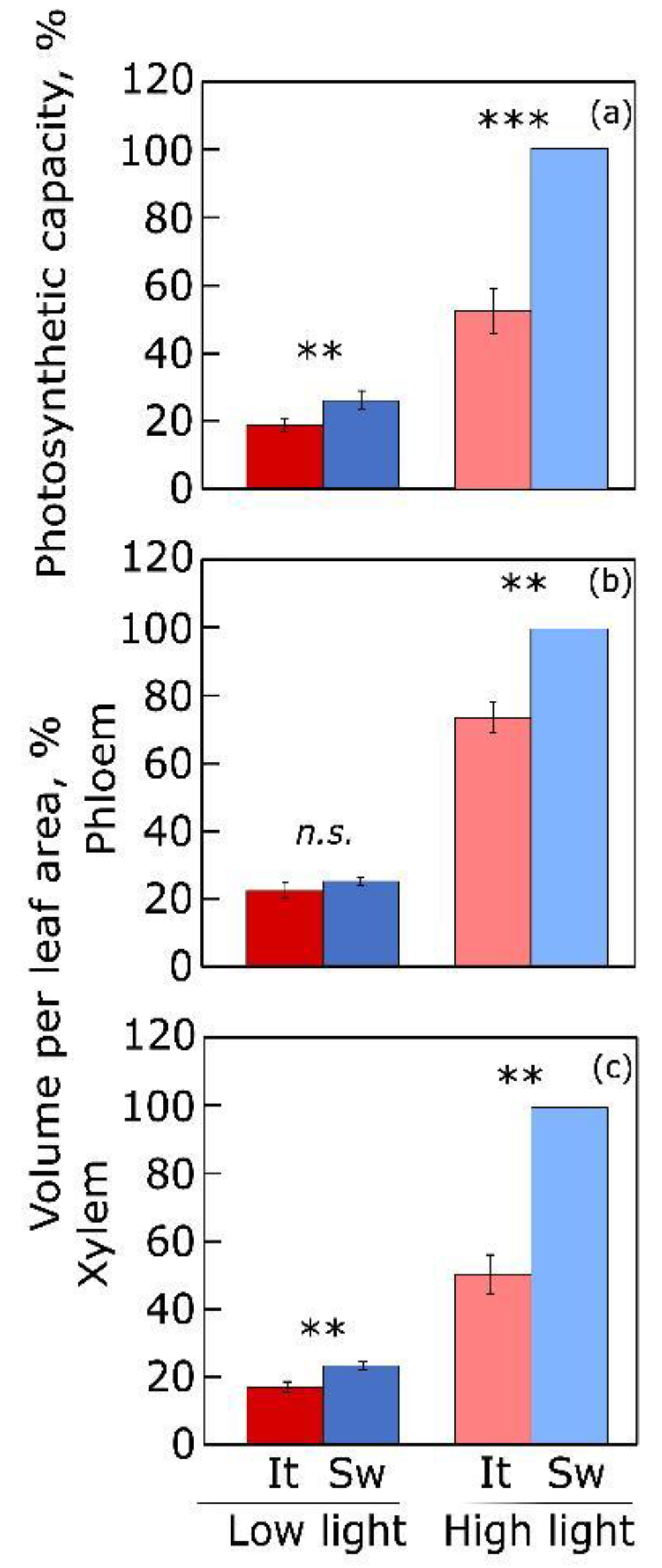 Plants 12 01928 g005 Plants 12 01928 g005