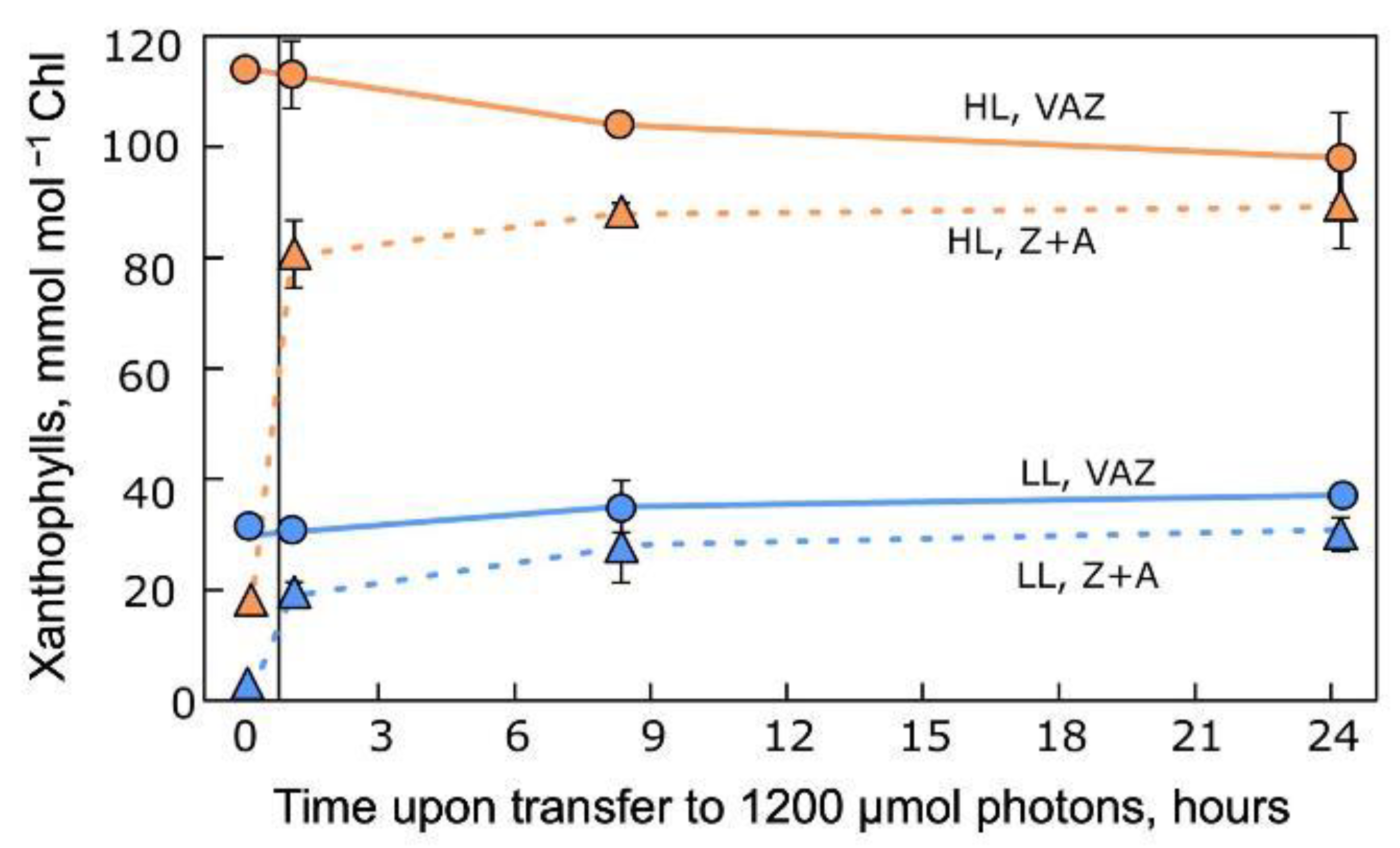 Plants 12 01928 g007 Plants 12 01928 g007