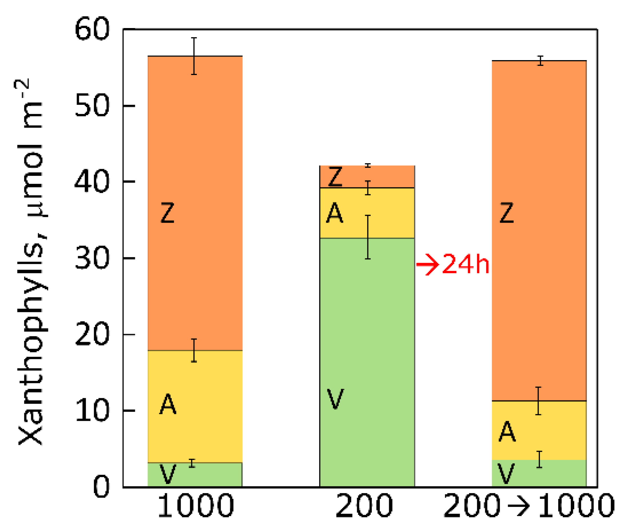 Plants 12 01928 g008 Plants 12 01928 g008