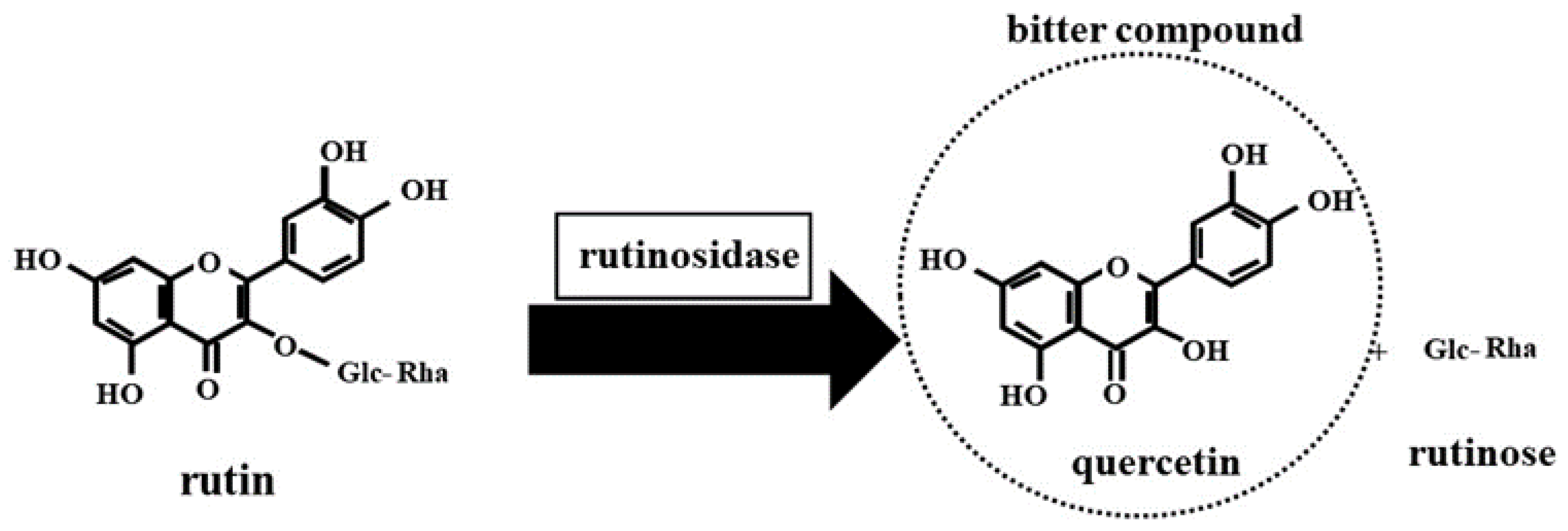 Cholesterol-Lowering Activity of Tartary Buckwheat Protein