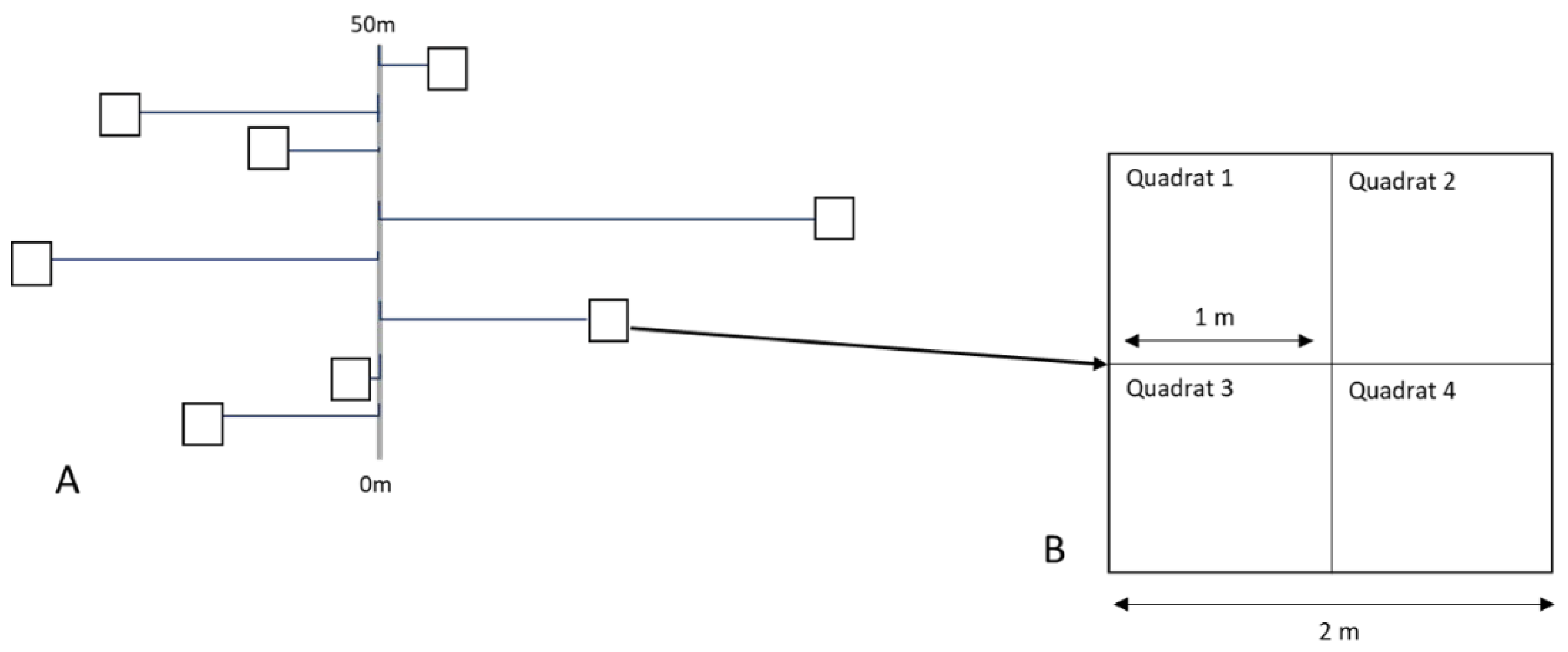 Plants 12 01970 g007 Plants 12 01970 g007