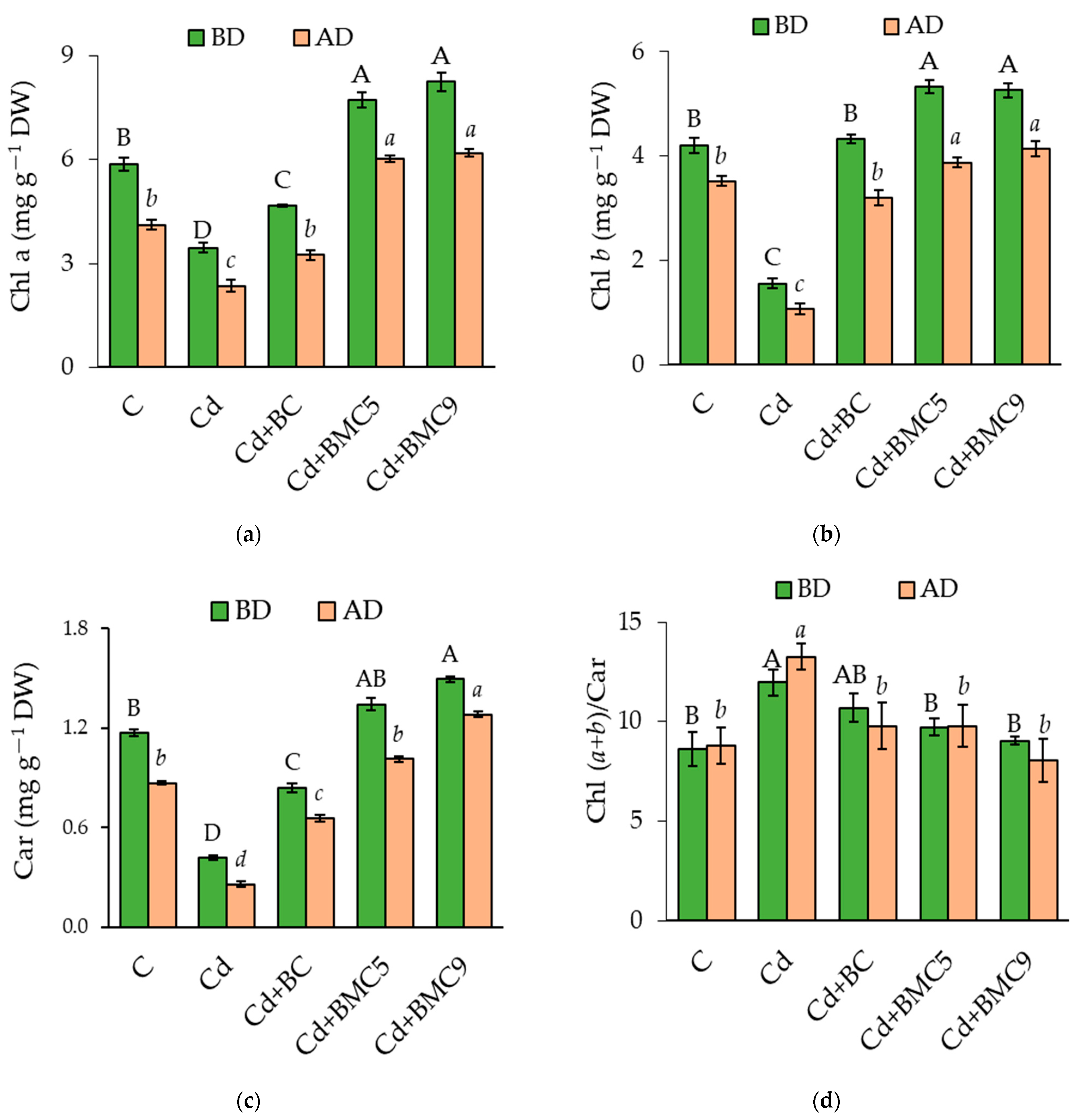Plants 12 01973 g002 Plants 12 01973 g002