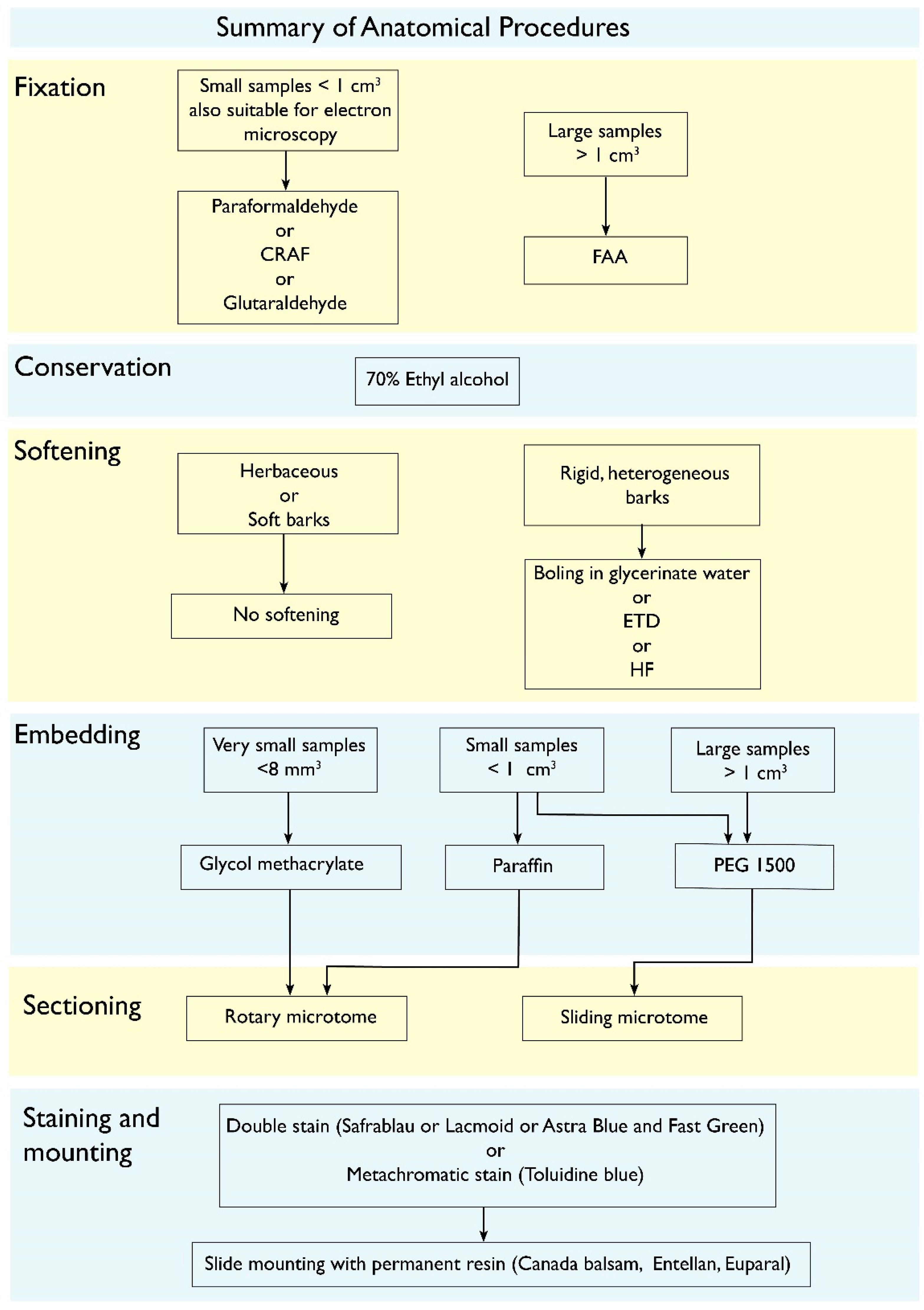 Plants 12 01985 g005
