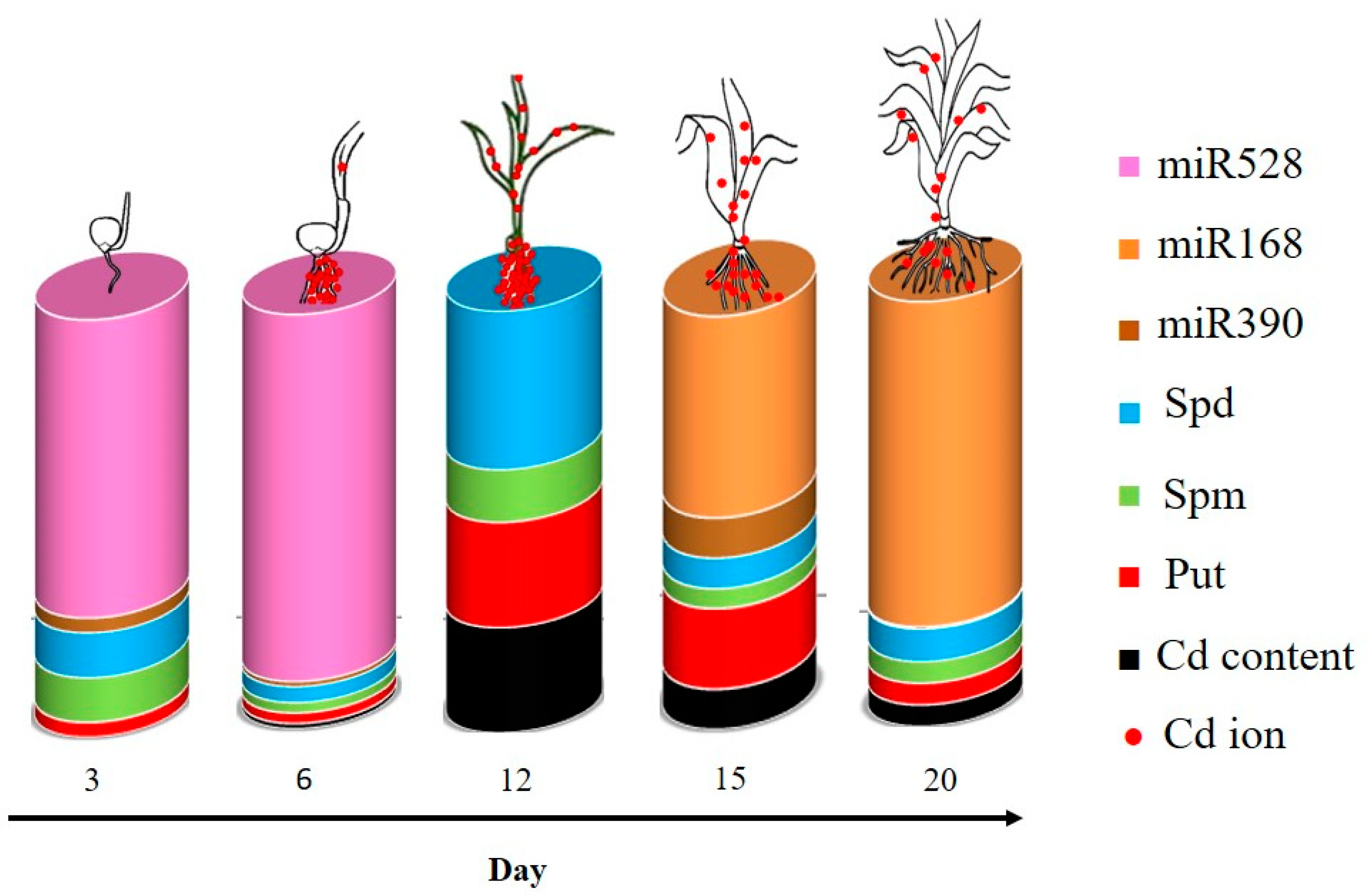 Plants 12 01991 g008 Plants 12 01991 g008