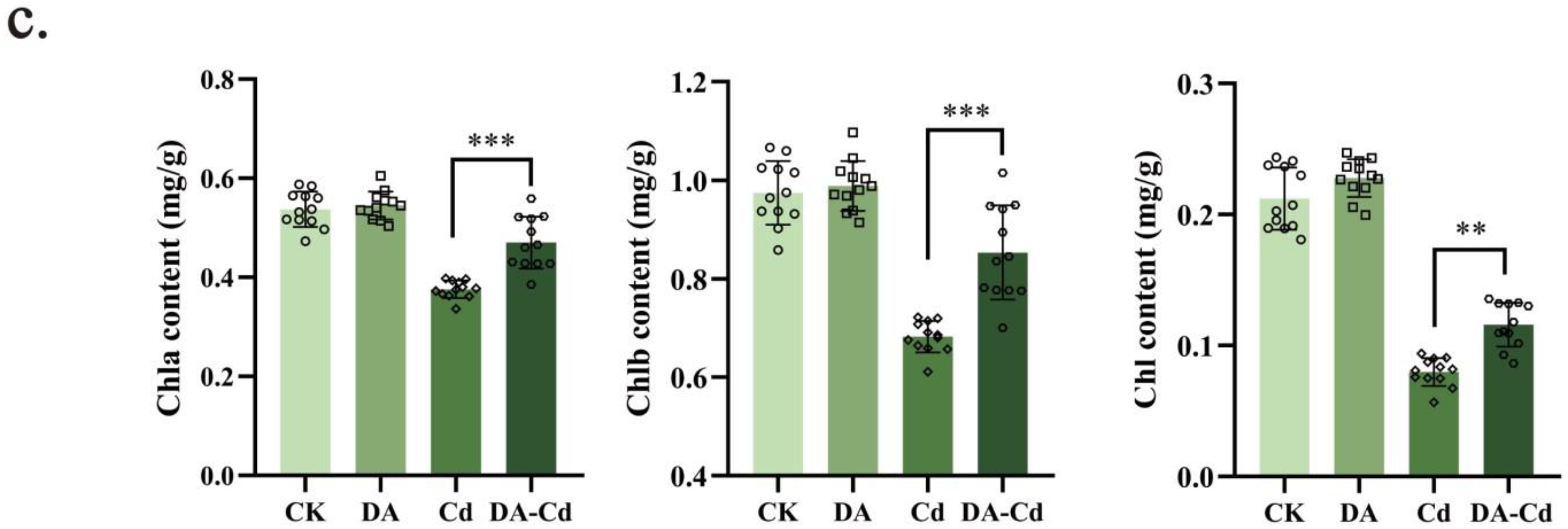 Plants 12 01996 g002b Plants 12 01996 g002b