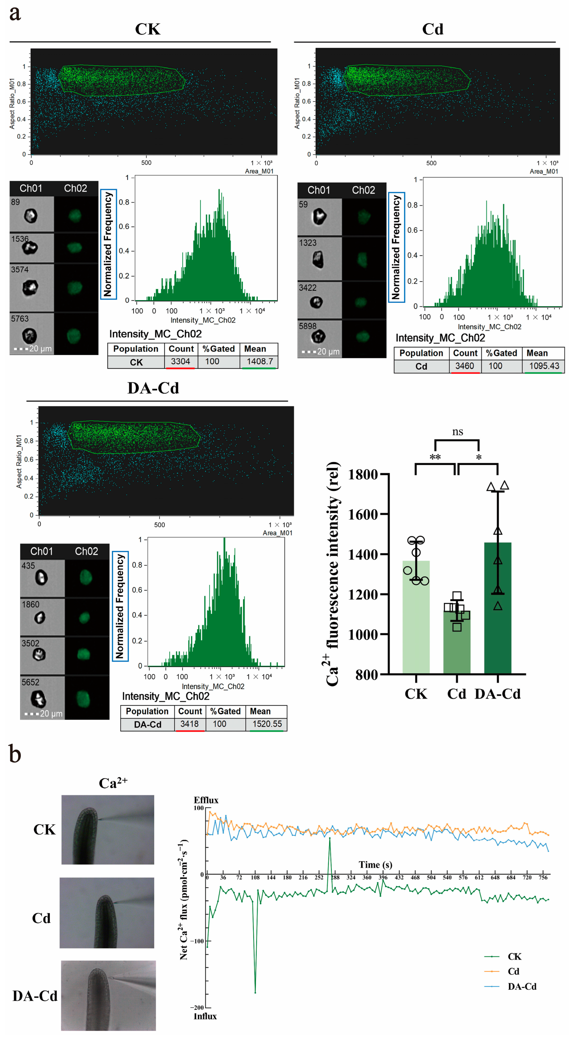 Plants 12 01996 g004 Plants 12 01996 g004