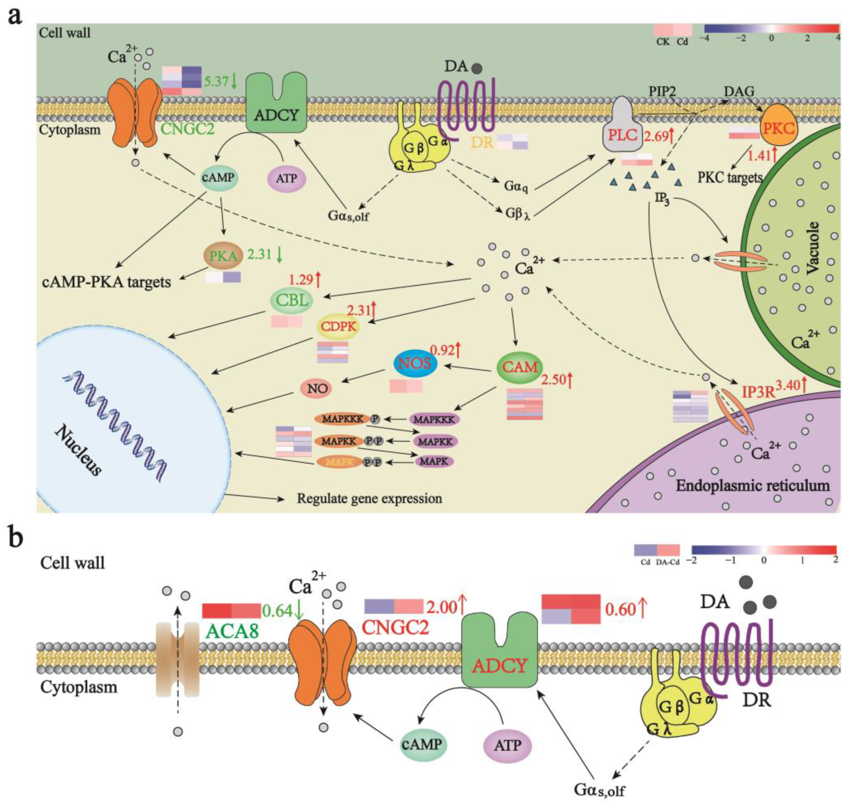 Plants 12 01996 g006 Plants 12 01996 g006