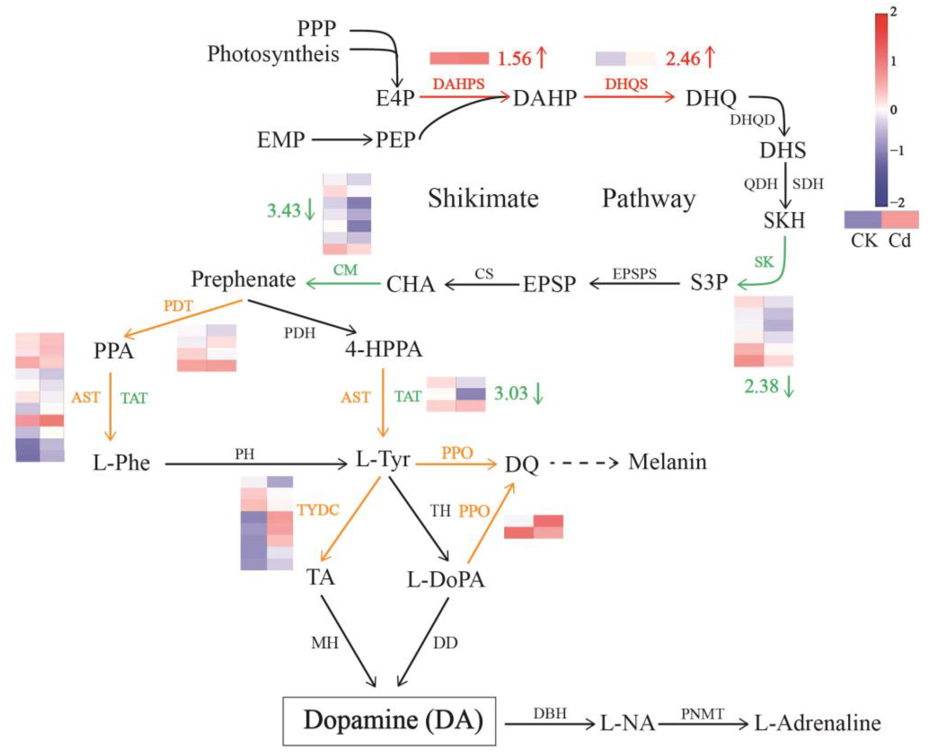 Plants 12 01996 g008 Plants 12 01996 g008